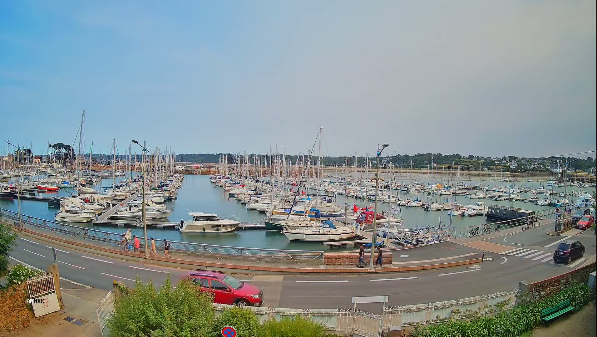 A nighttime view of a marina filled with numerous boats, illuminated by streetlights, under a clear, moonlit sky.