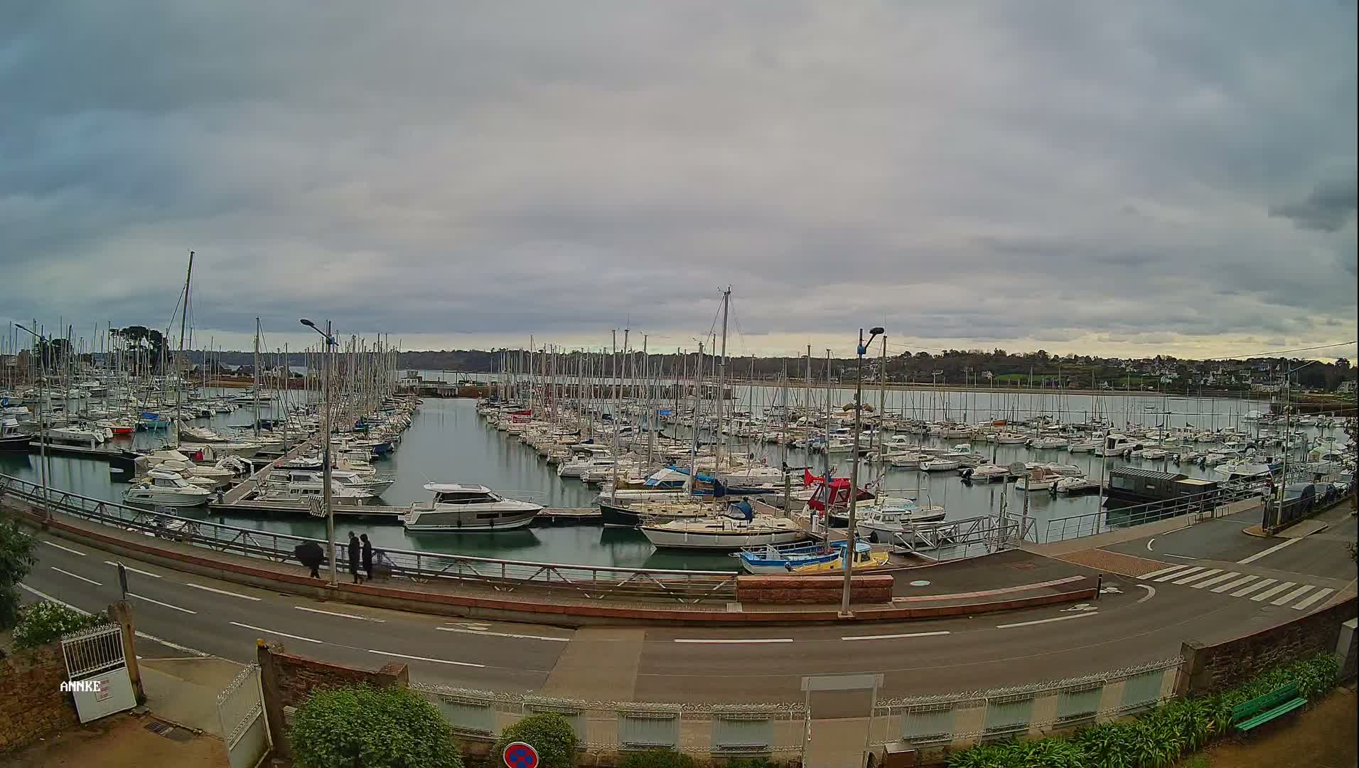 A nighttime view of a marina filled with numerous boats, illuminated by streetlights, under a clear, moonlit sky.