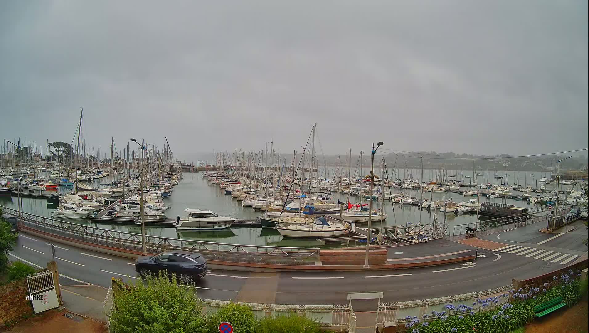Port de l'Ile Rousse Port Live Cam - Calvi, Haute-Corse, Corse, France