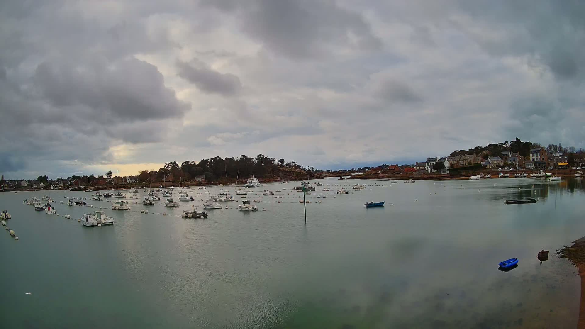 Many small white boats are moored in a calm harbor under a cloudy sky, with a small village visible on the far shore.