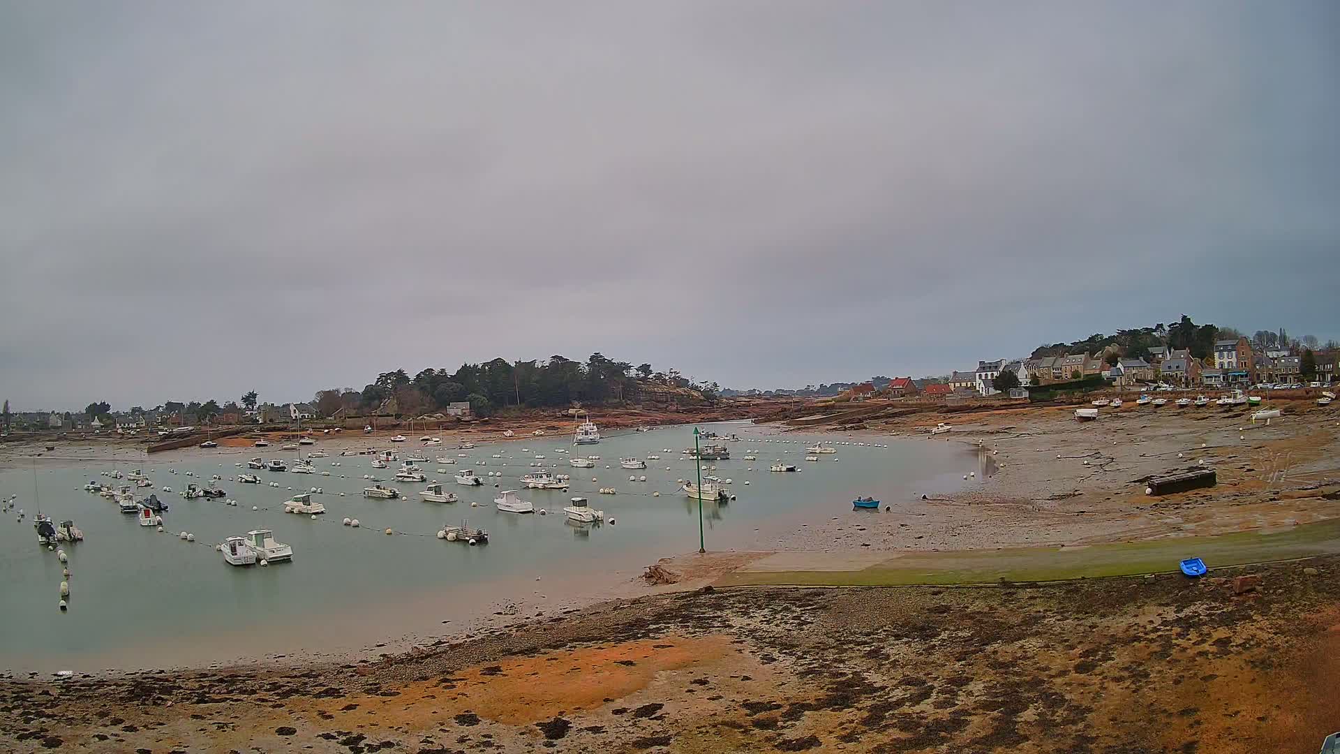Many small white boats are moored in a calm harbor, under a cloudy sky, with a small village and exposed mudflats visible in the background.