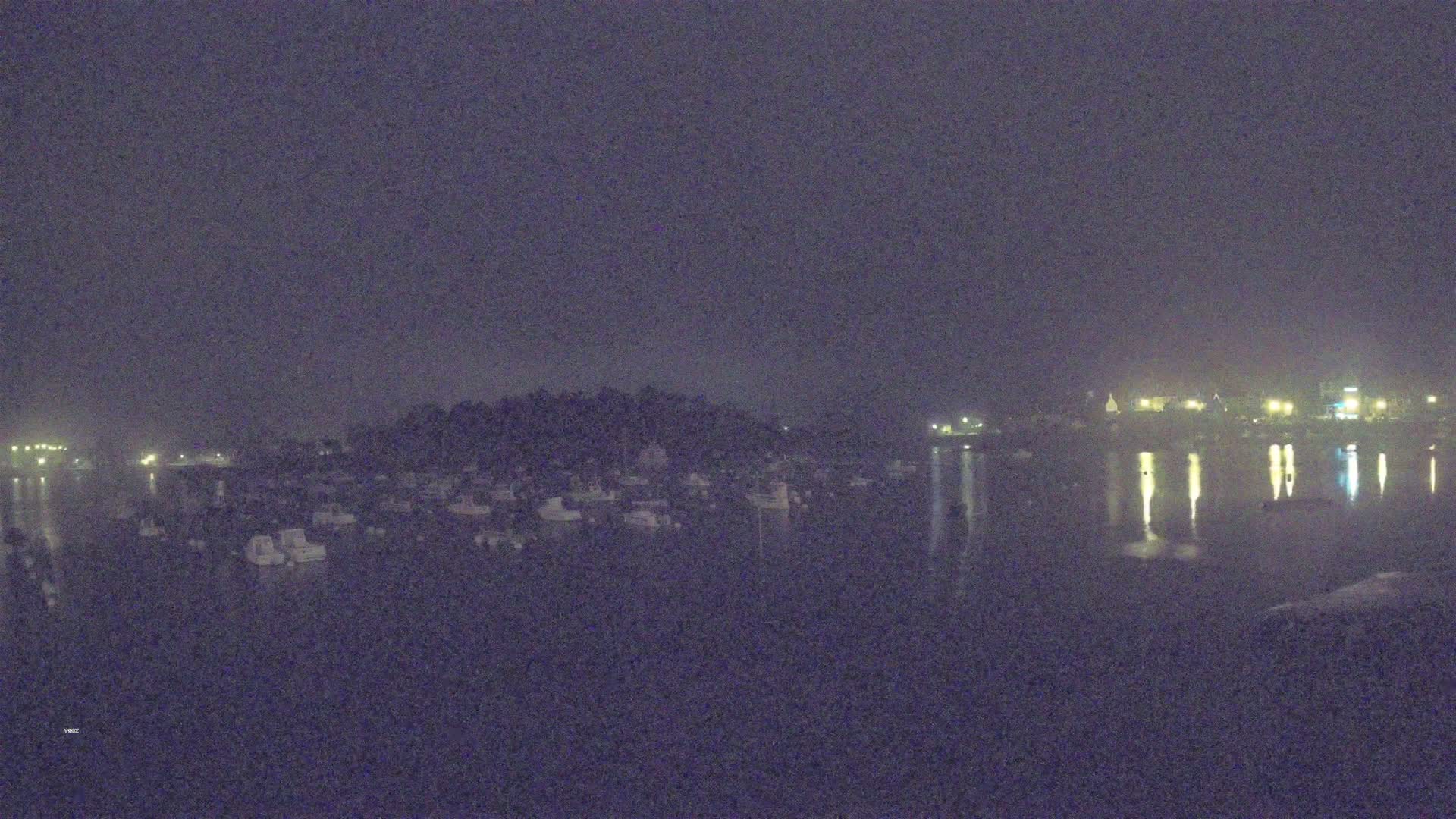 A nighttime view of a calm body of water with numerous boats docked, a shoreline with lights, and a hazy atmosphere.