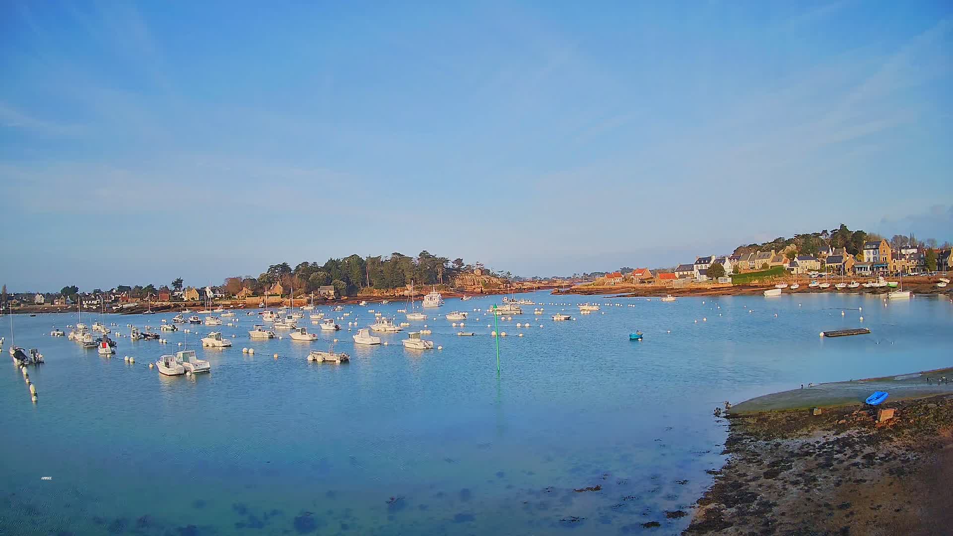 Under a clear blue sky, a calm body of water holds numerous small white boats near a shoreline village.
