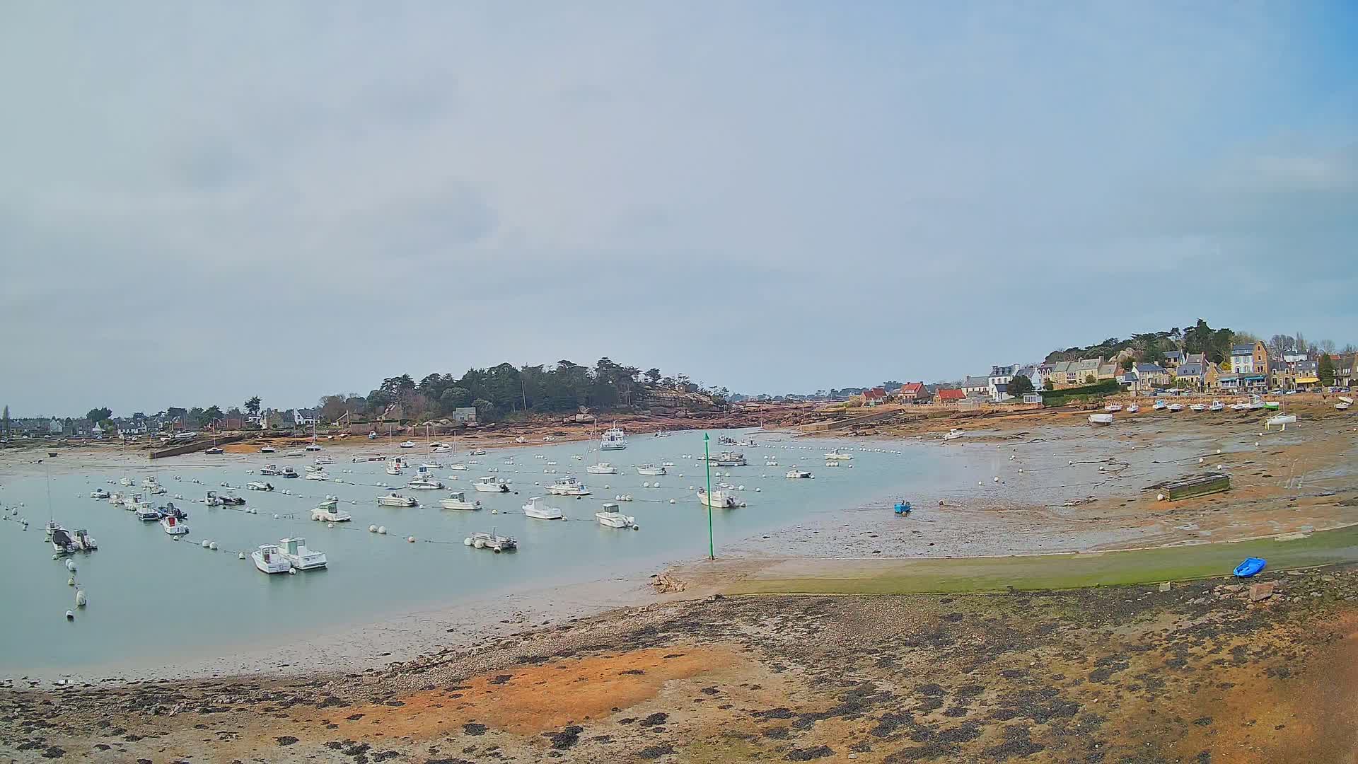 A calm harbor with numerous small white boats sits at low tide near a small village under an overcast sky.