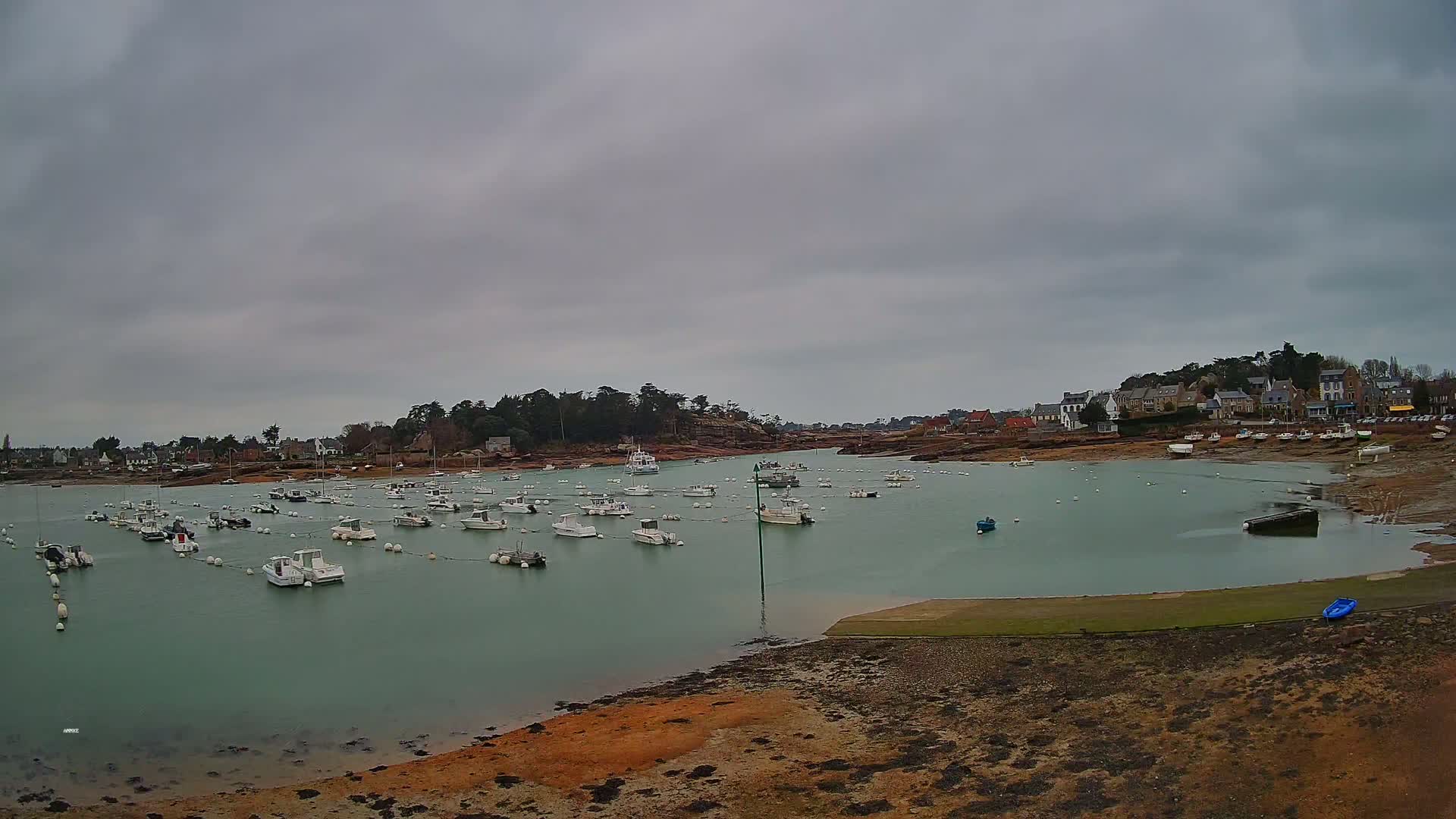 Numerous small white boats are moored in a calm, light-green harbor under an overcast sky, with a small village visible on the far shore.