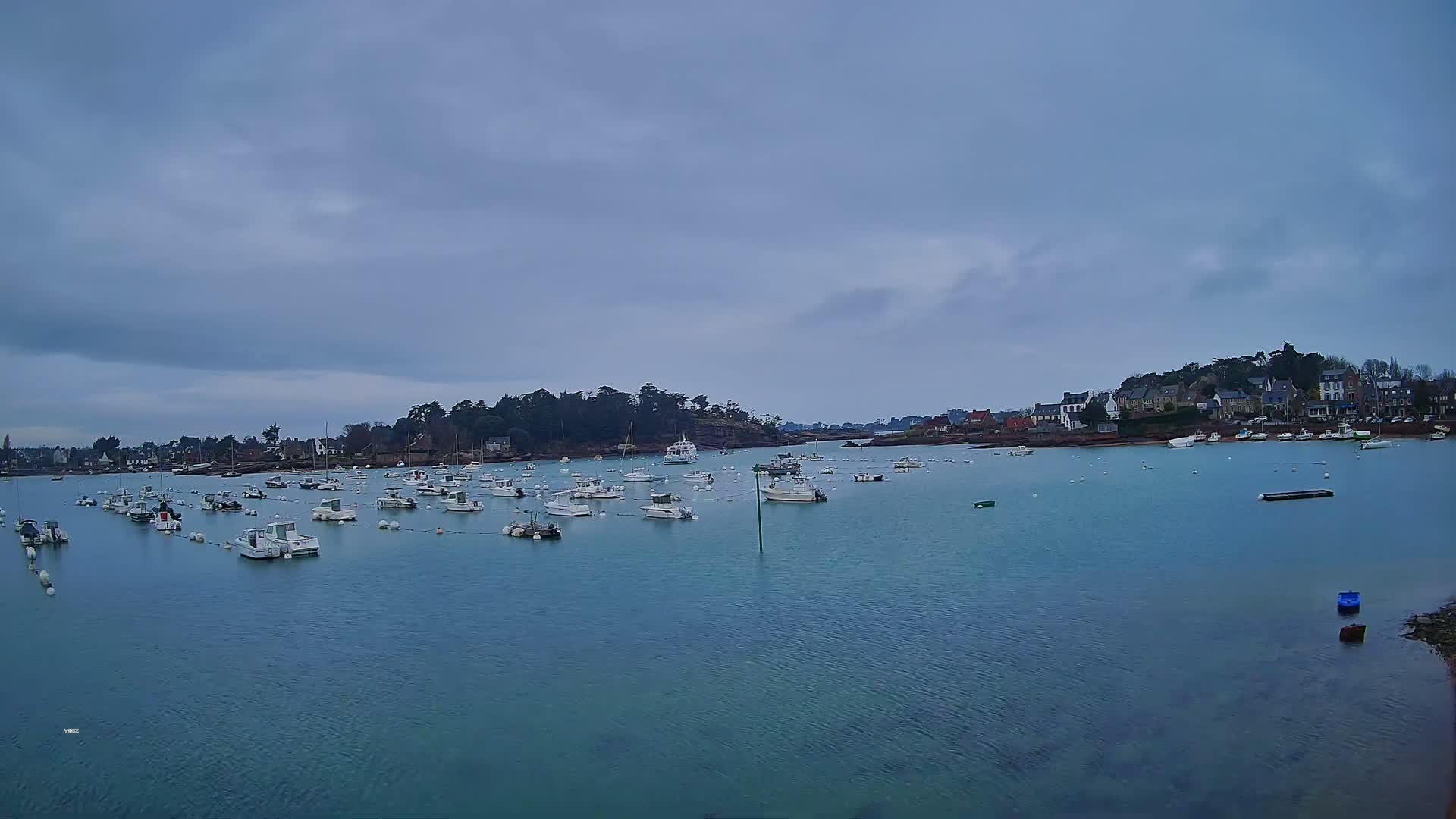 Many small white boats are moored in a calm bay under a cloudy sky, with a small town visible on the far shore.