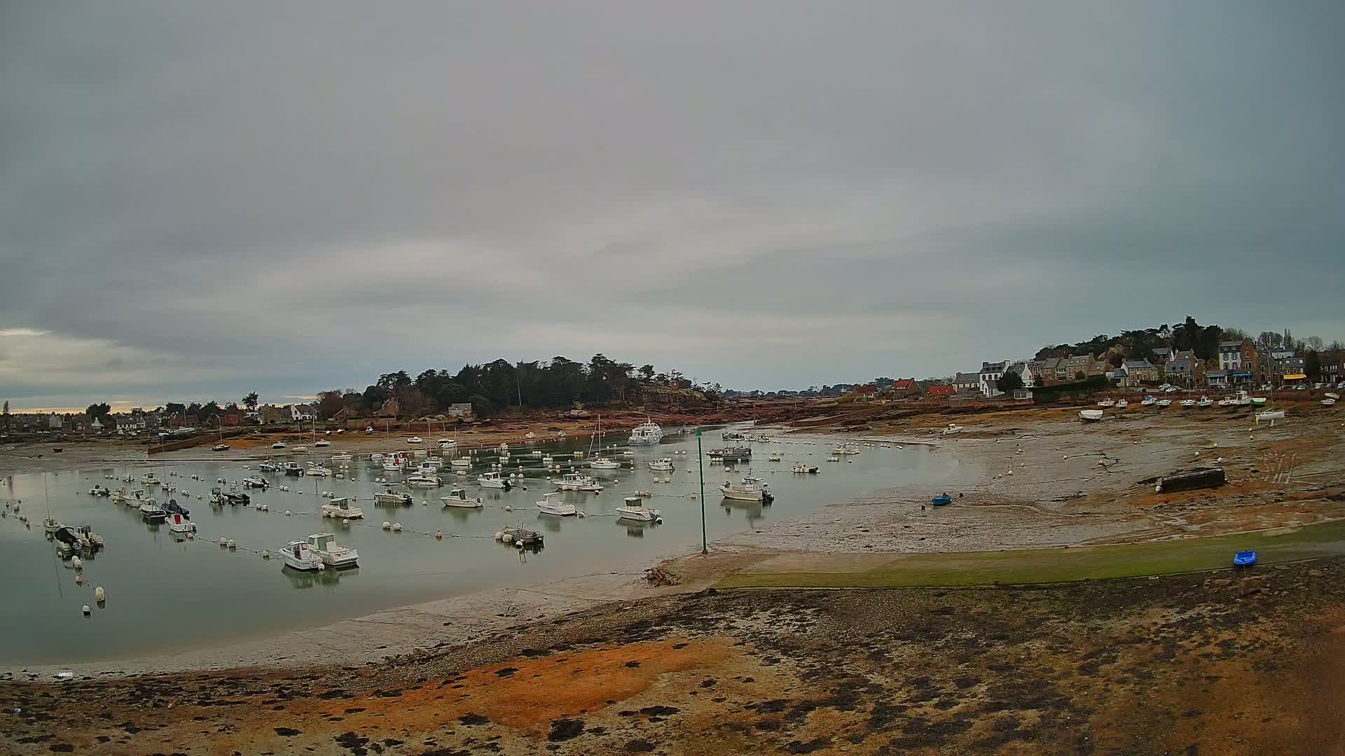A calm harbor with numerous small boats moored in shallow water under an overcast sky, surrounded by exposed mudflats and a small town on the shore.