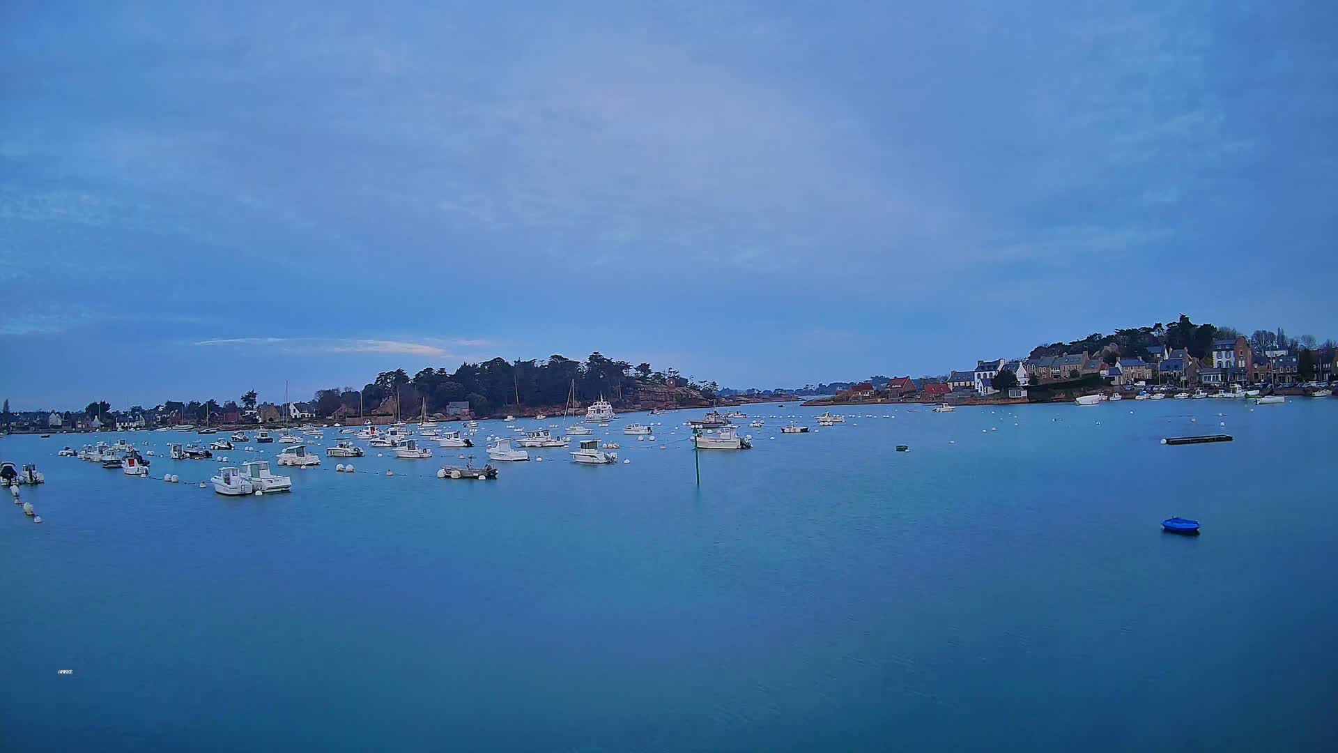 Many small white boats are moored in a calm, blue body of water under a clear, pale blue sky in front of a small village.