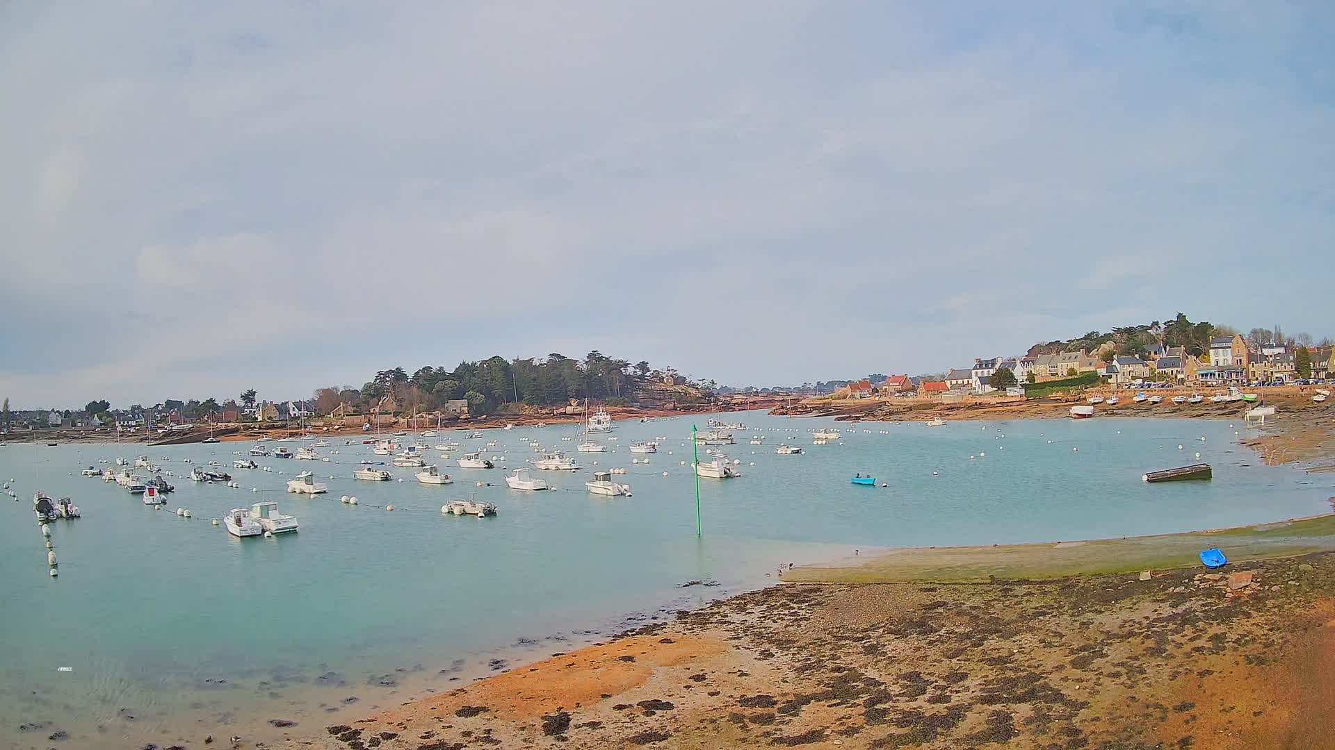 Numerous white boats are moored in a calm, light-blue harbor next to a small town under a mostly cloudy sky.