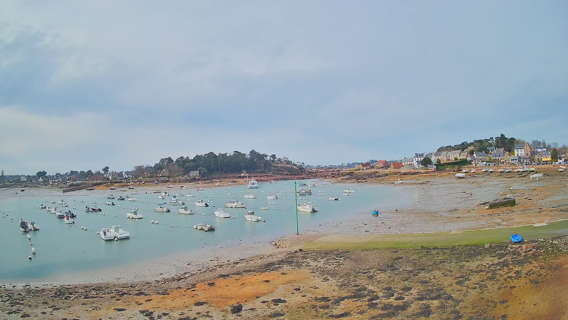 Many small white boats are moored in a calm, shallow harbor under a cloudy sky, with a small village visible in the background on a low-lying coast.