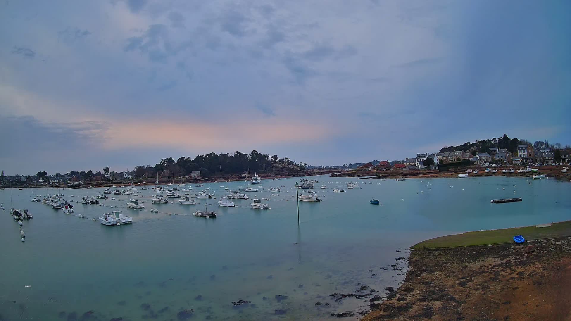 Numerous white boats are moored in a calm, teal-colored harbor under a cloudy, overcast sky, with a small town and wooded area visible in the background.