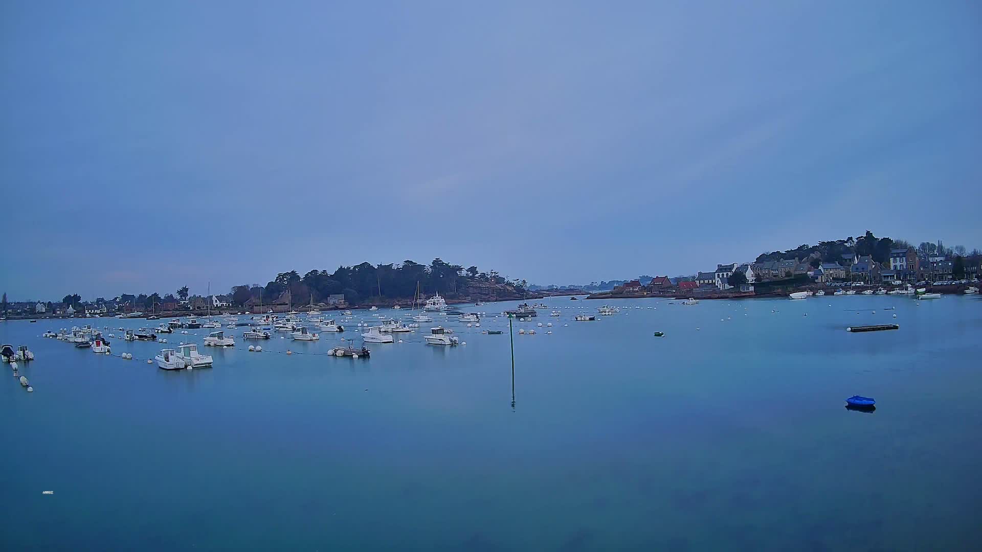 Many small white boats are moored in a calm, blue harbor under a clear, pale blue sky, with a small village visible in the distance.