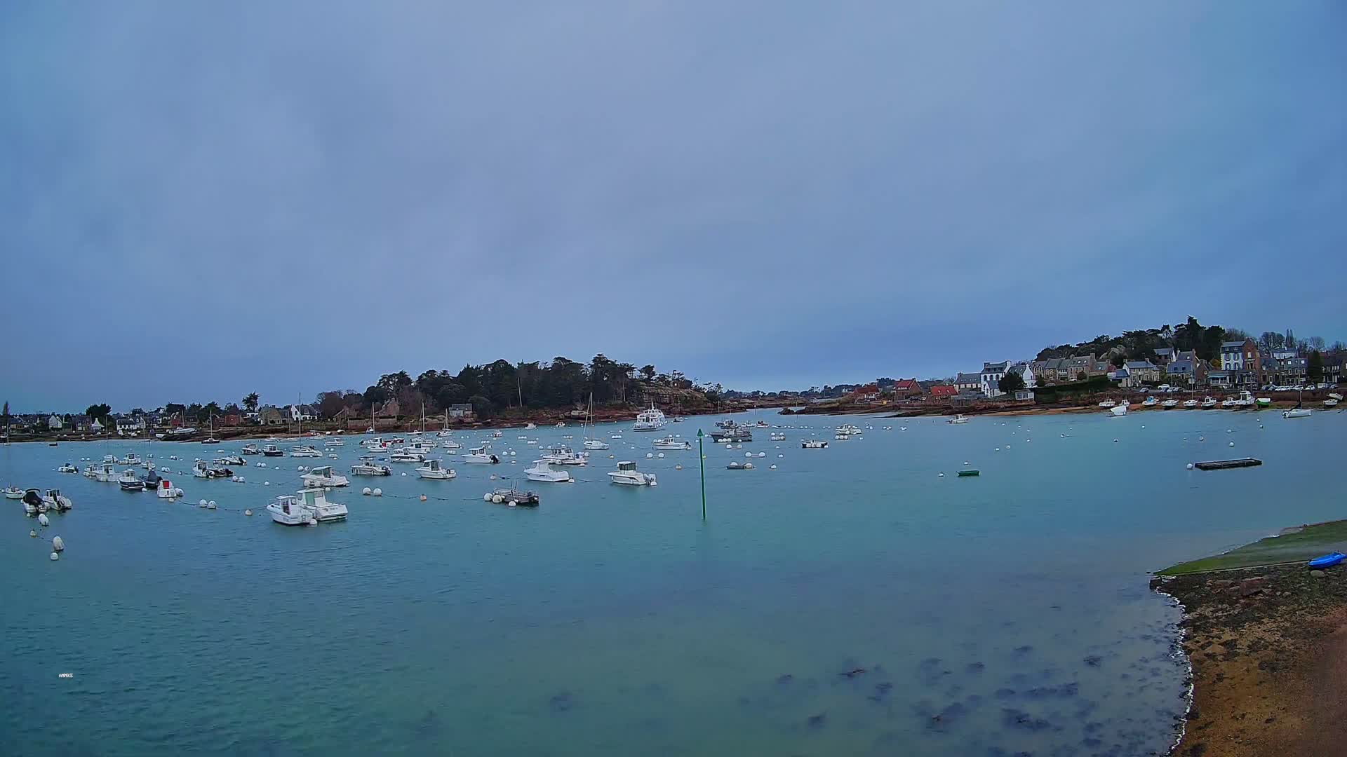 A calm, overcast day reveals a tranquil harbor filled with numerous small white boats, nestled beside a shoreline village and verdant tree line.