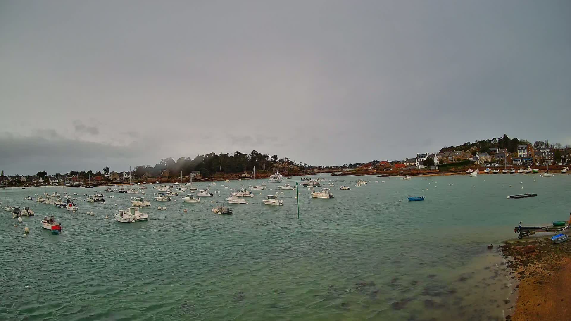 Many small boats are moored in a calm, green-blue harbor under an overcast sky, with a small village visible on the far shore.