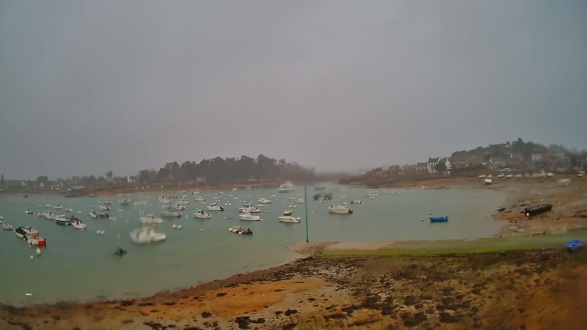 Numerous boats are moored in a calm, overcast harbor near a small town.