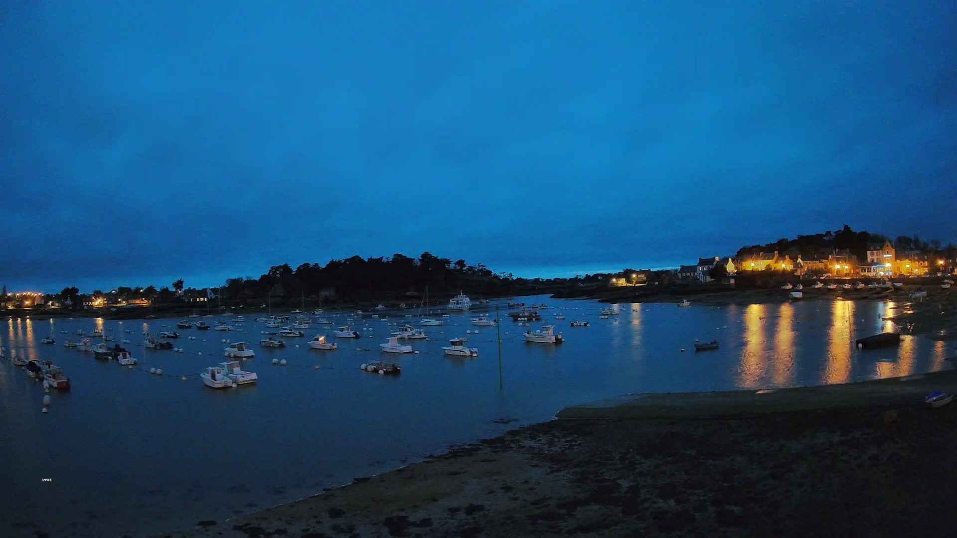 Many small boats are moored in a calm harbor at twilight, under a clear, dark-blue sky, with a small village illuminated on the far shore.