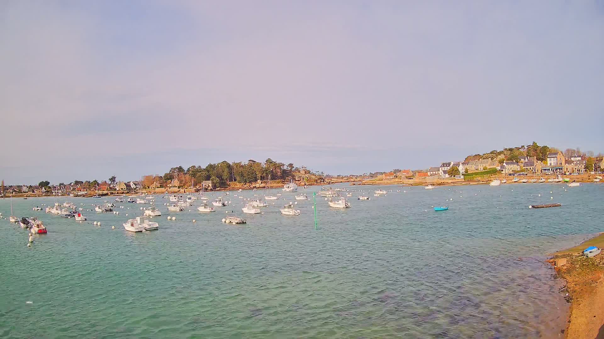 Many small white boats are moored in a calm, light teal body of water near a shoreline with houses and trees under a mostly clear, pale sky.