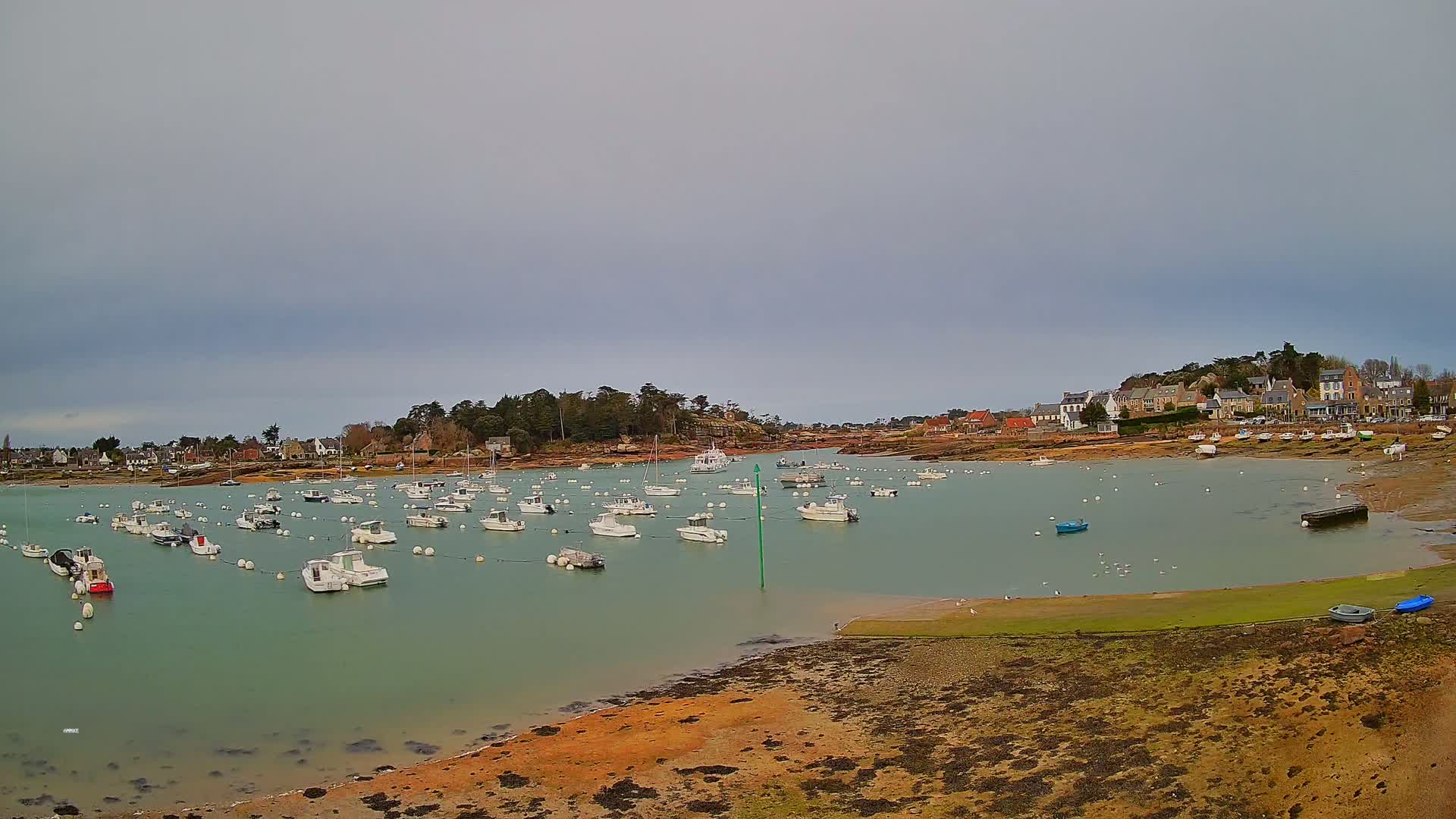 A calm, overcast day reveals a harbor filled with numerous small white boats moored near a shoreline village.