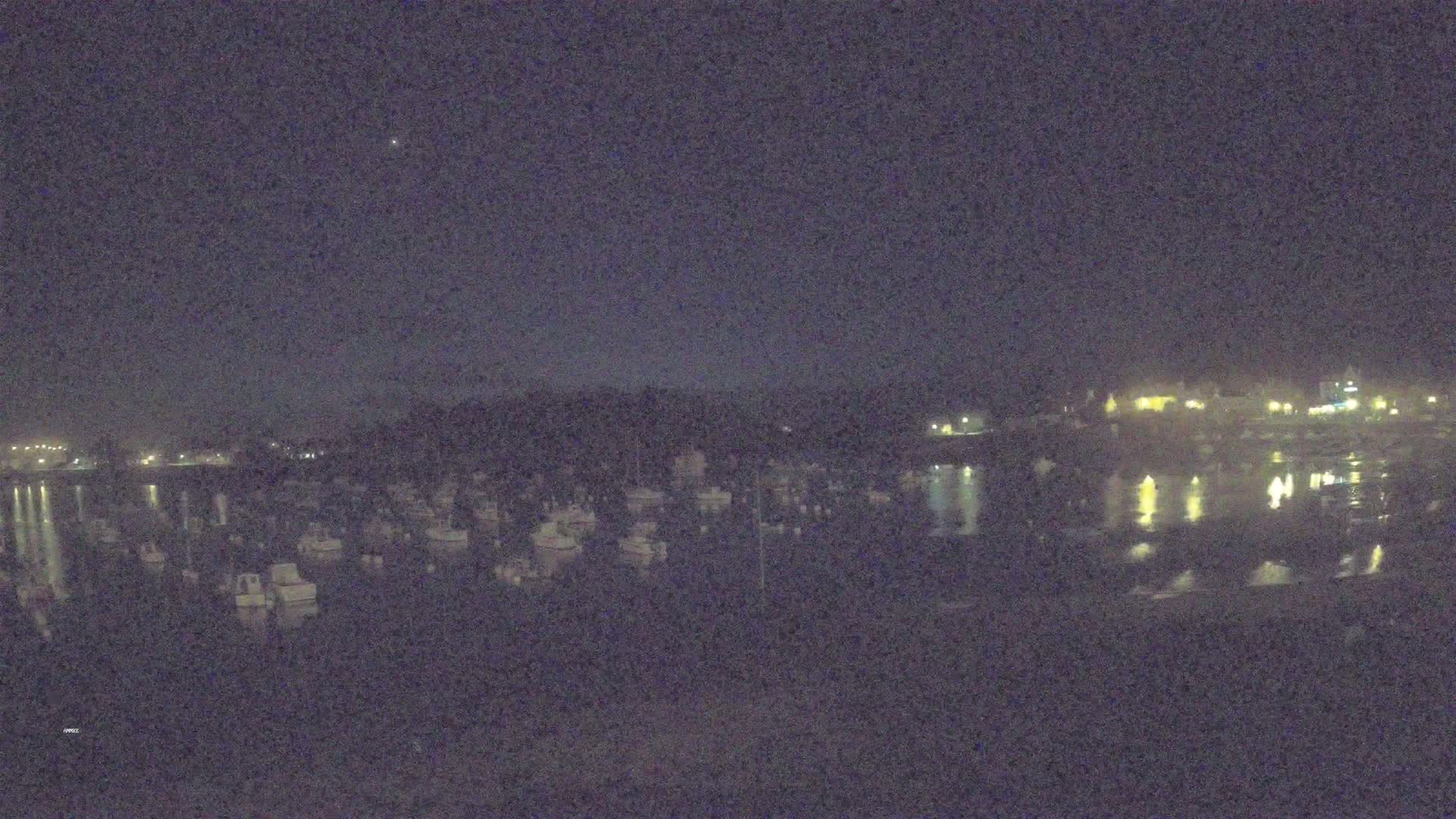 A nighttime view of a harbor filled with numerous boats, under a dark, clear sky.