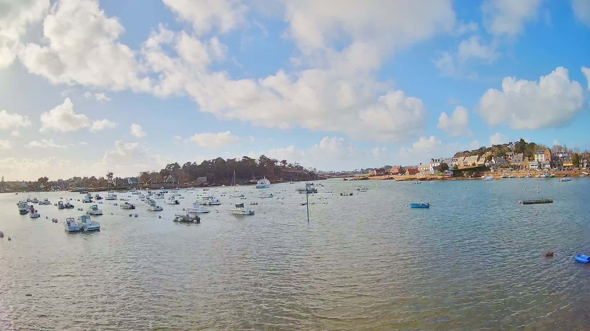 Many small white boats are moored in a calm bay under a partly cloudy sky, with a small town visible on the far shore.