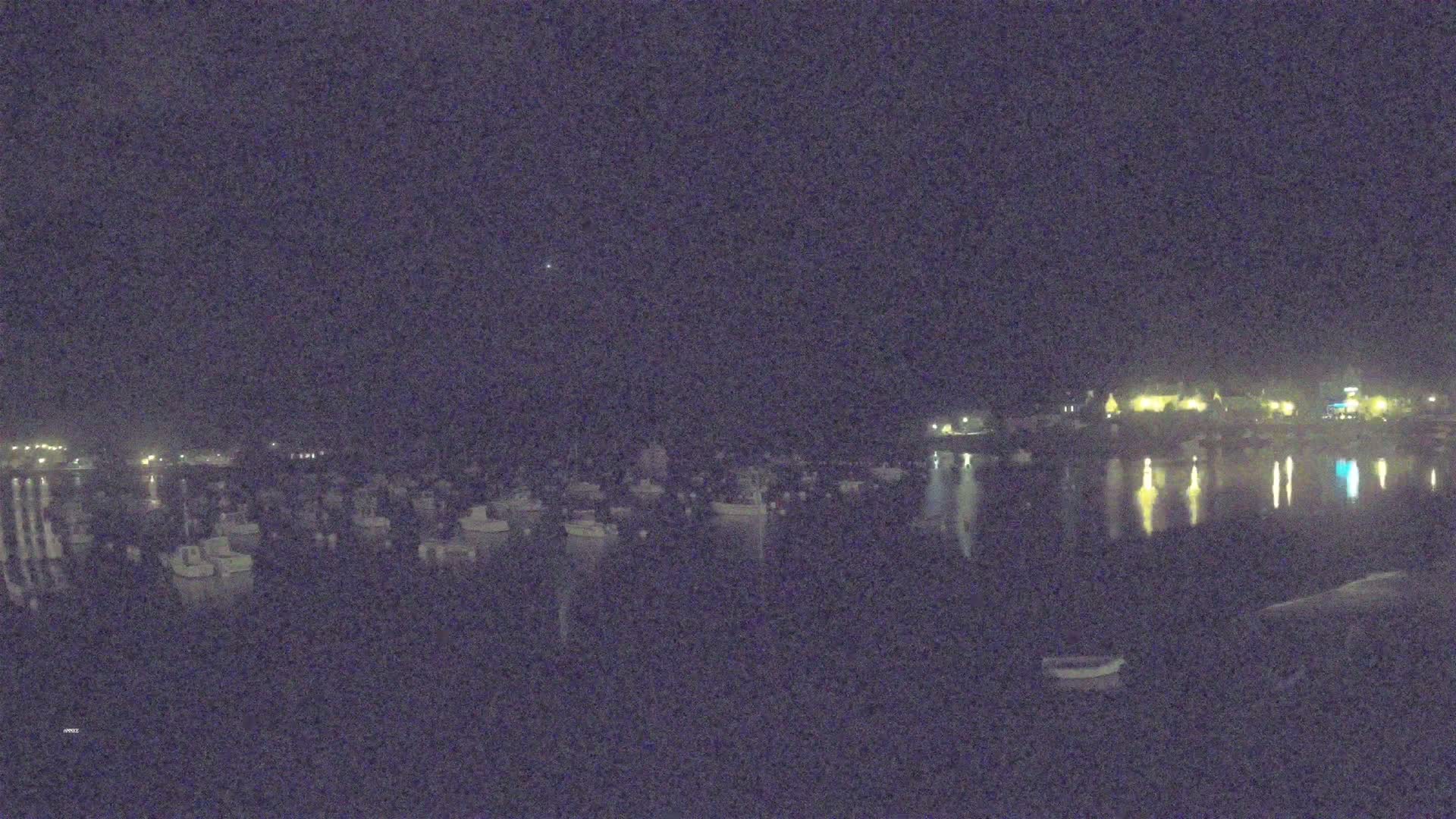 A nighttime view of a harbor filled with numerous small boats, with lights reflecting on calm water under a dark sky.