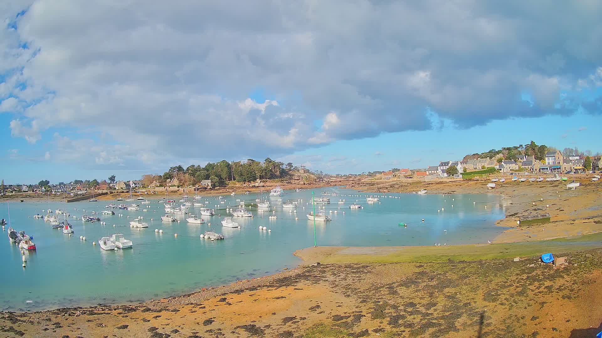 A harbor filled with numerous small white boats under a partly cloudy sky, with a small town visible on the shore.