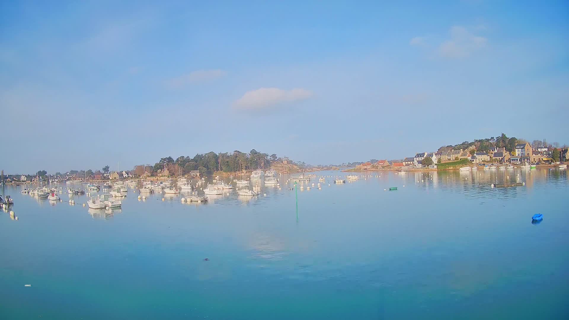A calm, clear day reveals a harbor filled with numerous small white boats, nestled beside a shoreline of houses and trees.