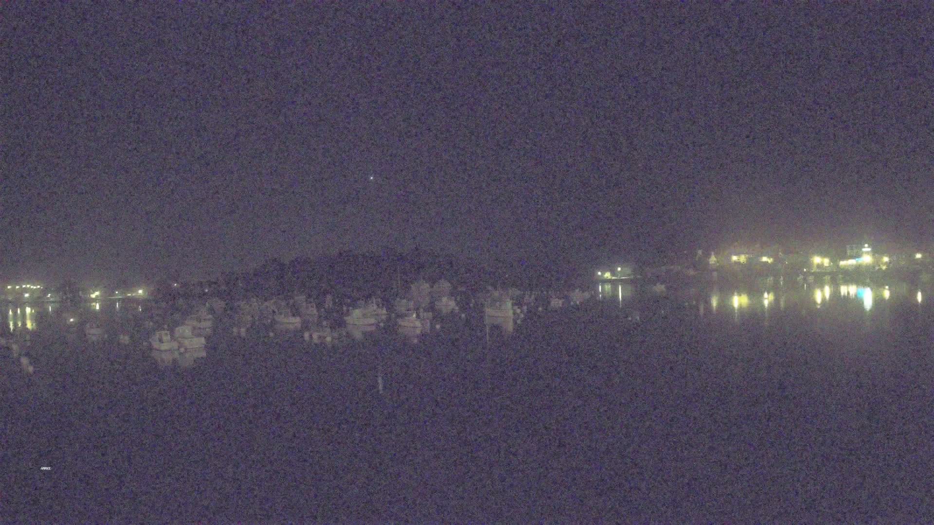 A nighttime view of many small boats moored in calm water near a dimly lit shoreline.