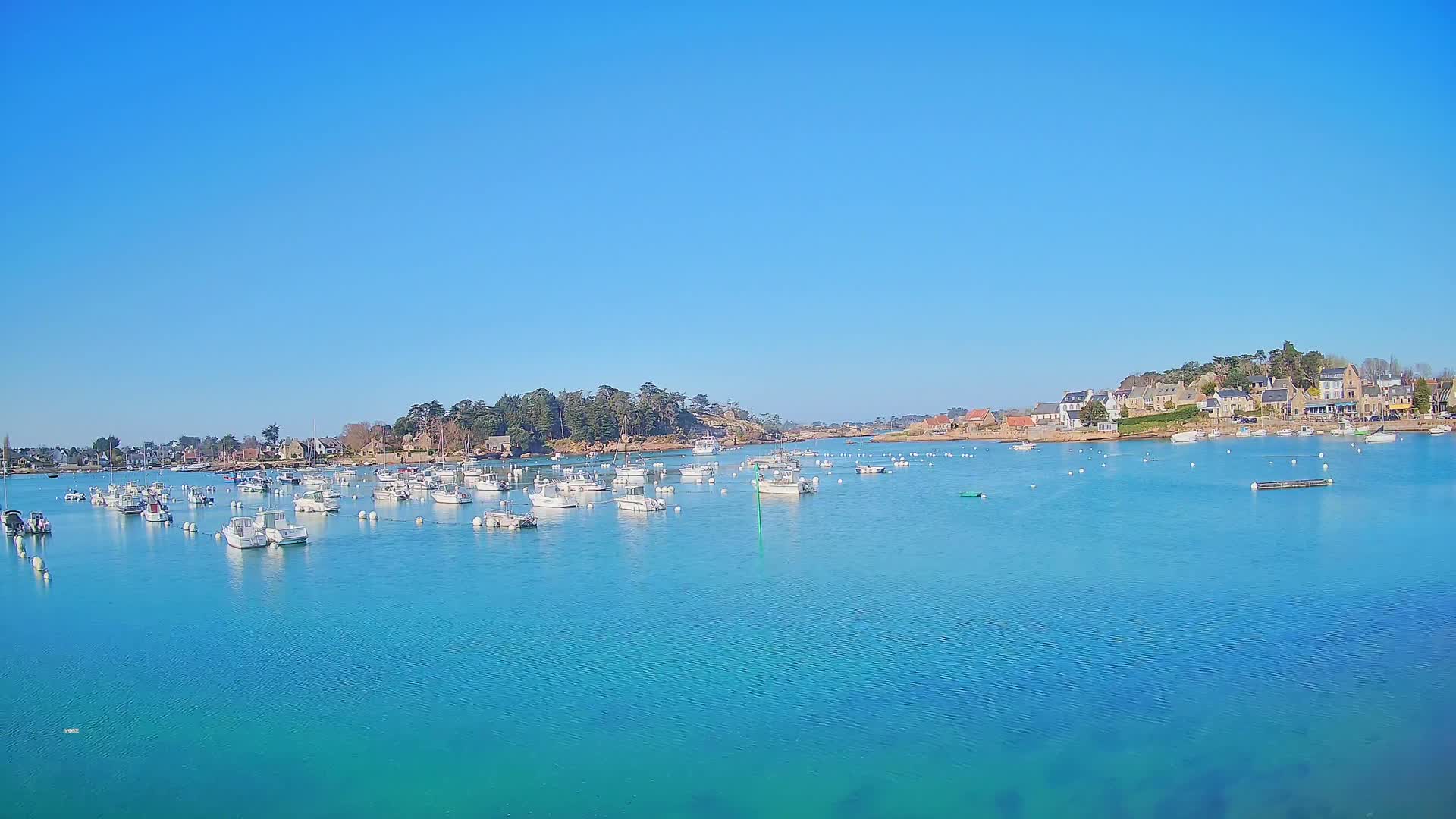 A calm, clear blue body of water holds numerous small white boats, anchored near a shoreline of houses and trees under a bright blue sky.