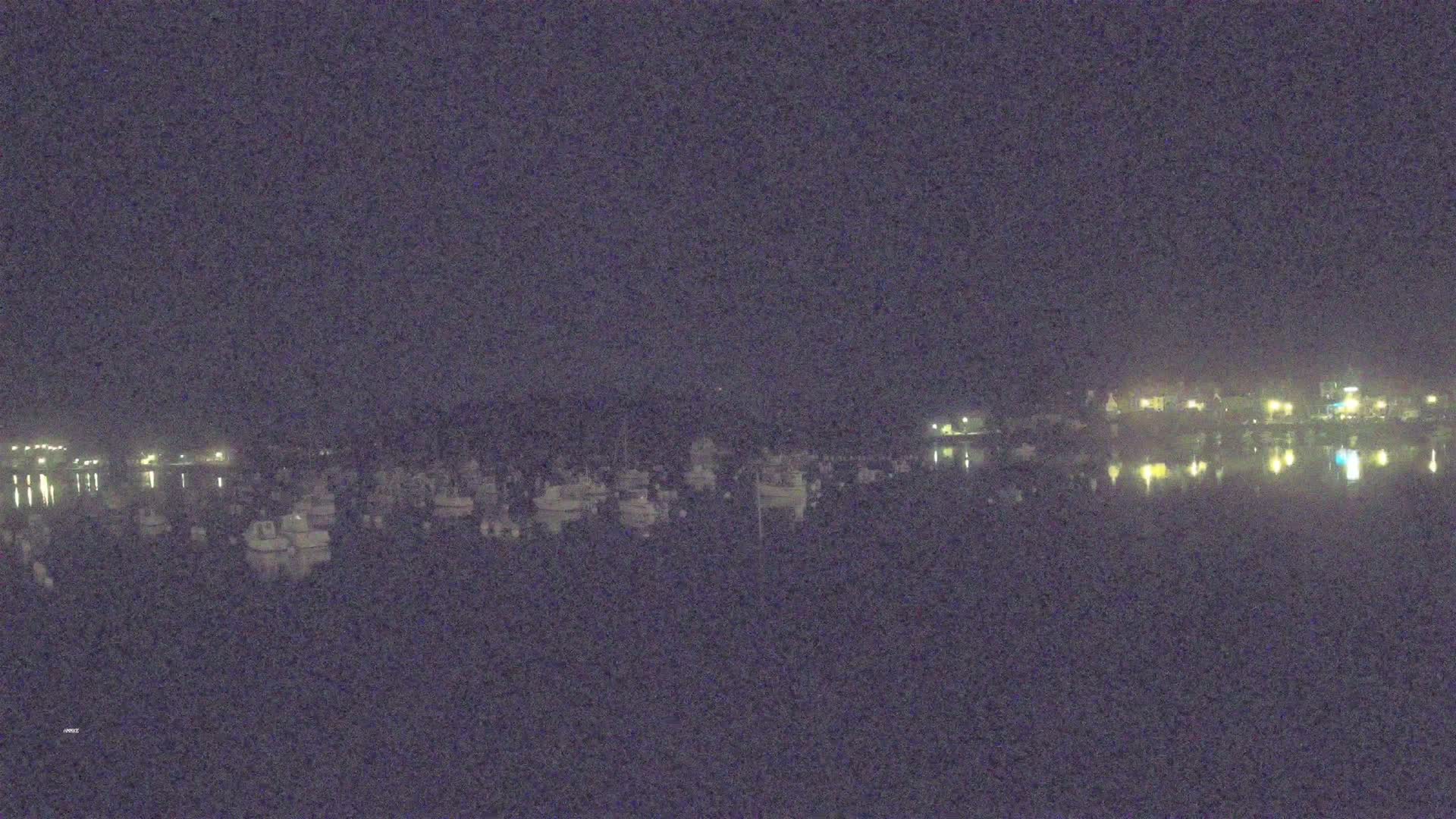 A nighttime view of numerous boats docked in calm water, with dimly lit buildings visible across the water under a dark sky.