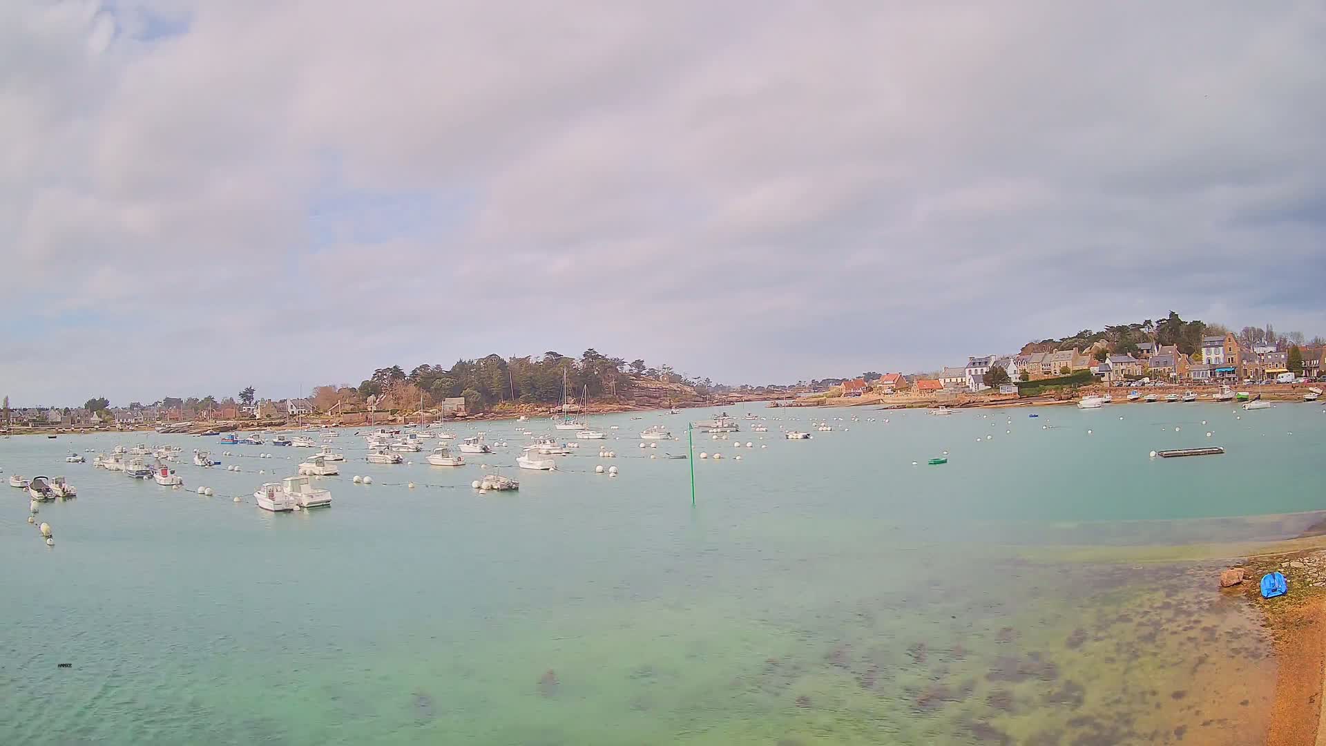 Numerous small white boats are moored in a calm, light-green bay under a mostly cloudy sky, with a small village visible on the far shore.