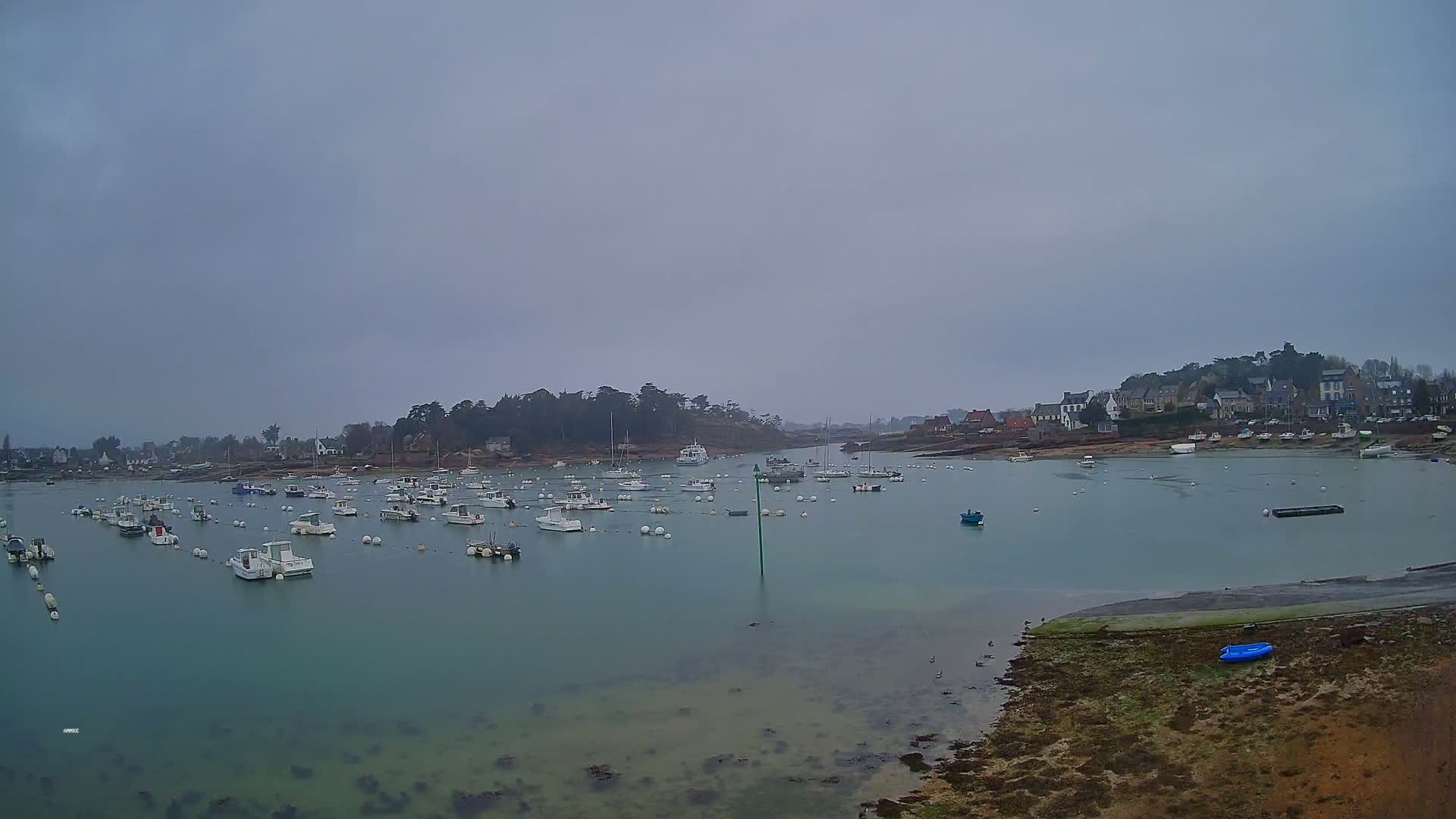Many small white boats are moored in a calm, teal-colored harbor under an overcast sky, with a small town visible on the far shore.