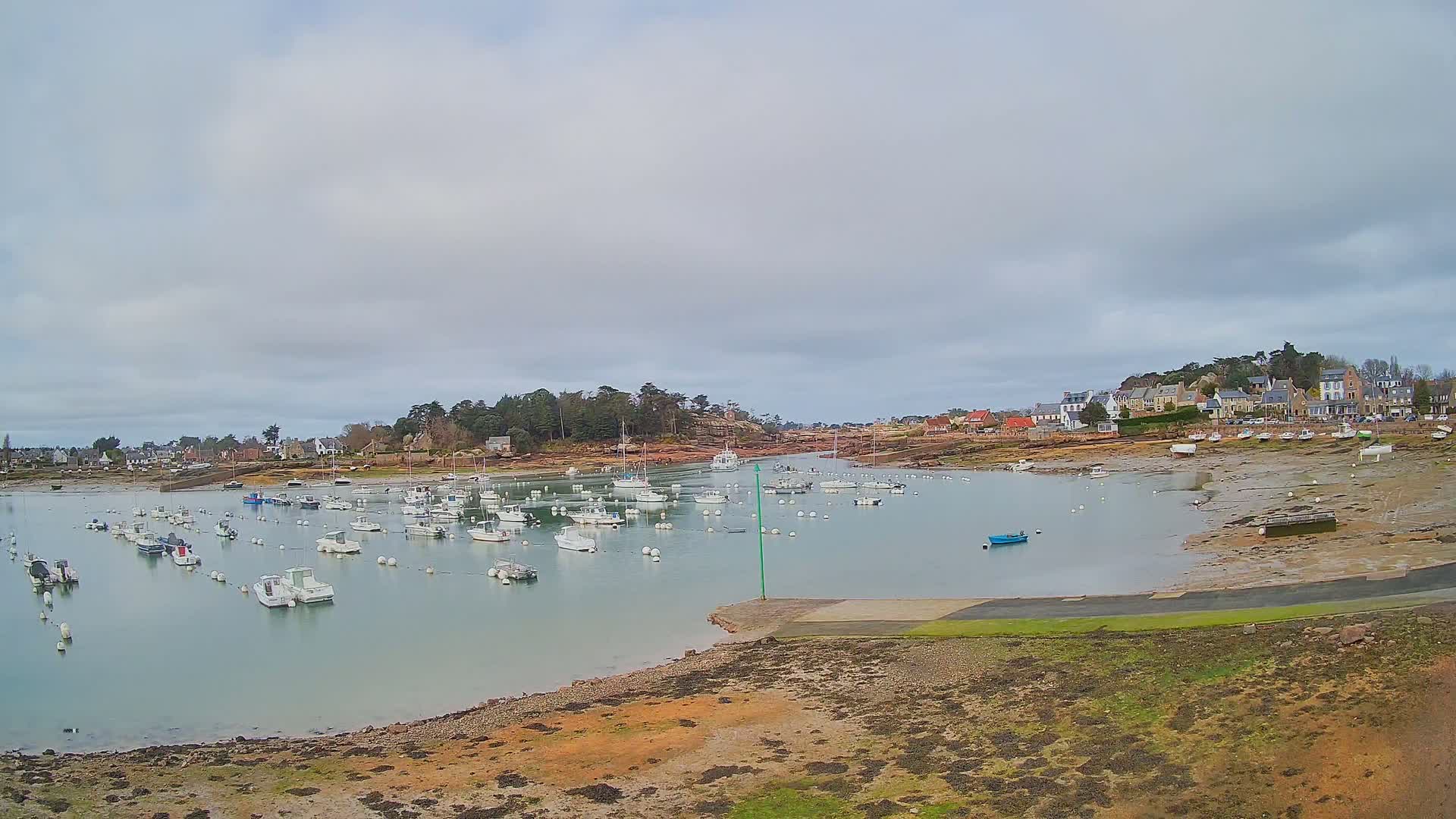 Many small white boats are moored in a calm bay under an overcast sky, with a small town visible on the far shore.