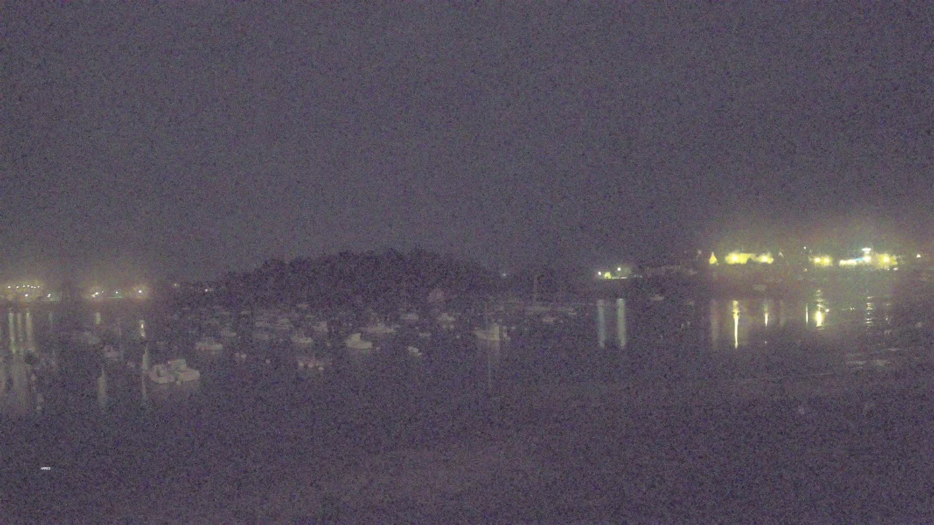 A nighttime view of a calm body of water with numerous boats docked, and a dimly lit shoreline in the background under a dark, cloudy sky.
