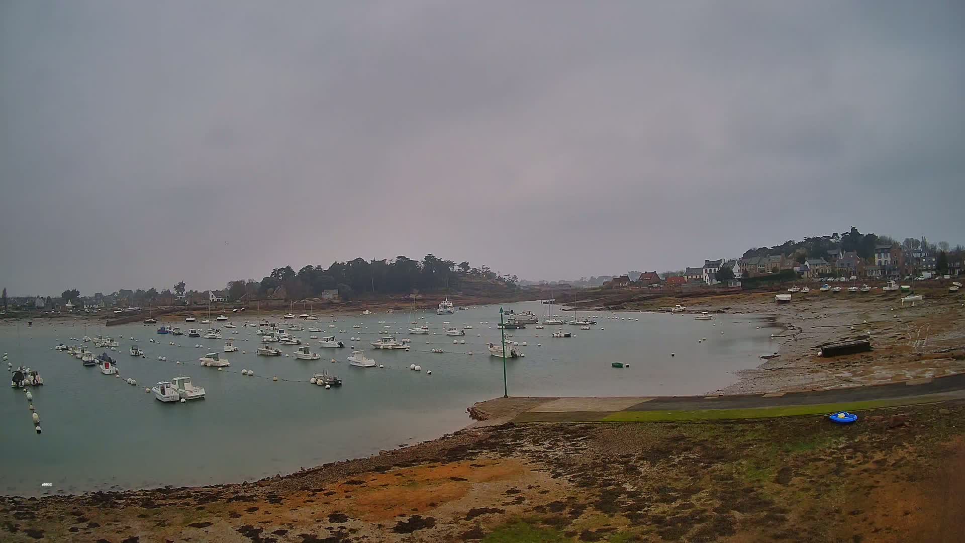 Numerous small boats are moored in a calm bay under an overcast sky, with a village visible in the background on exposed mudflats.