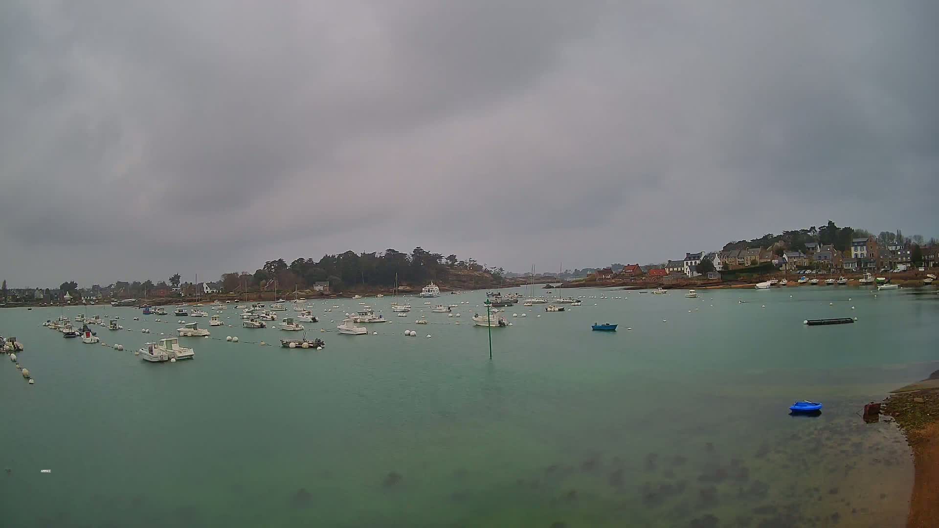 Many small white boats are moored in a calm, teal-colored harbor under an overcast sky.
