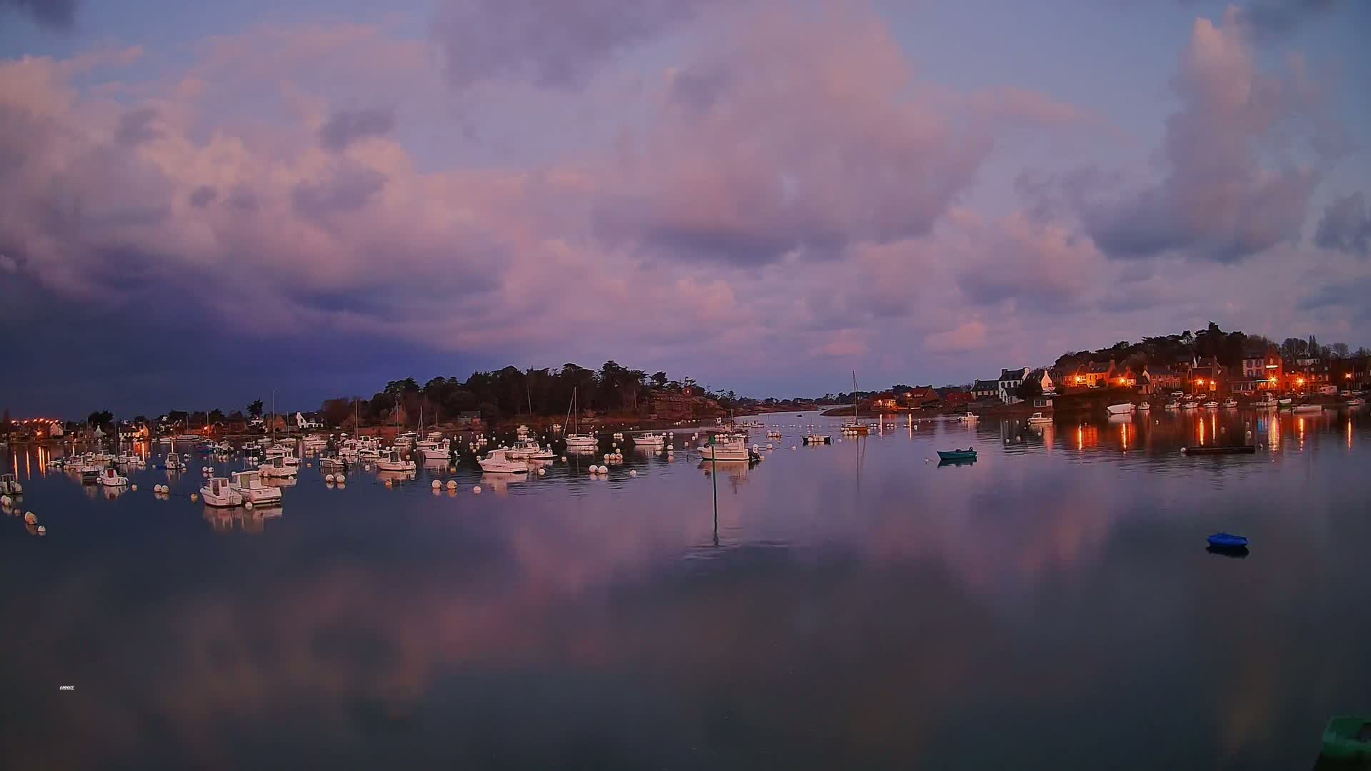 Many small white boats are moored in a calm harbor at dusk under a partly cloudy, purplish sky.