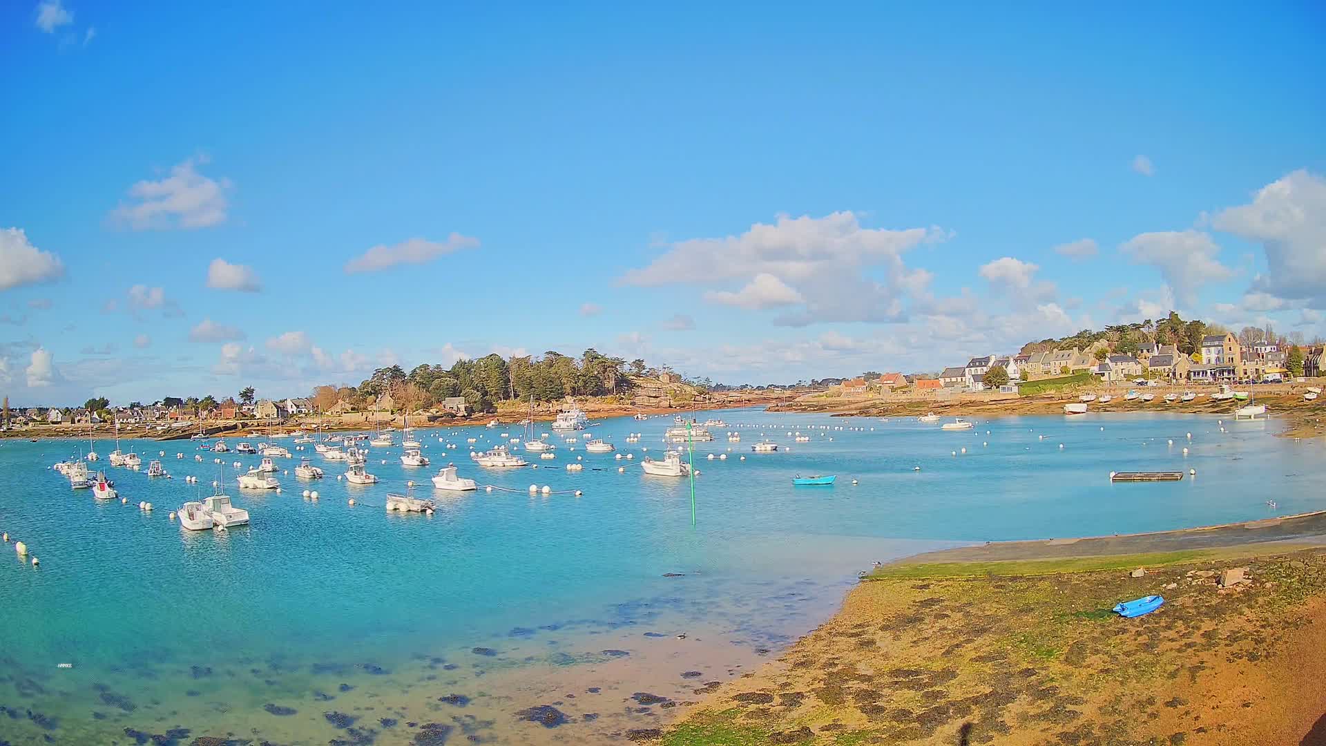 A calm, sunny day shows a harbor filled with numerous small white boats moored in bright turquoise water near a shoreline village.
