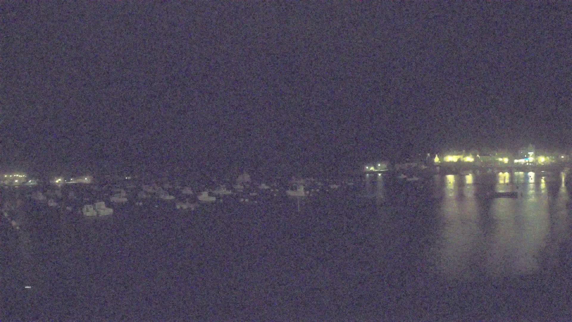 A nighttime view of a harbor filled with boats, with a town's lights visible across the water under a dark sky.