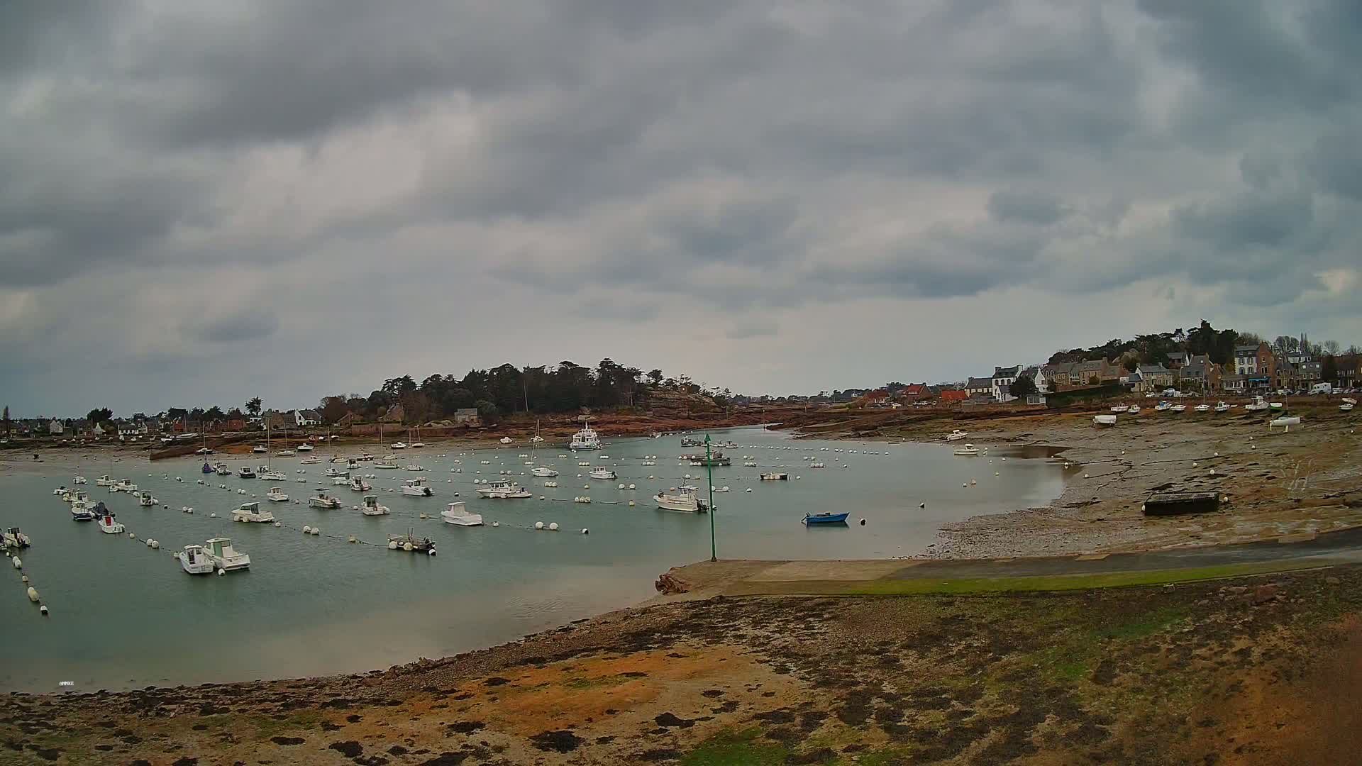 Numerous small white boats are moored in a calm harbor under a cloudy sky, with a small town visible in the background and exposed mudflats along the shore.
