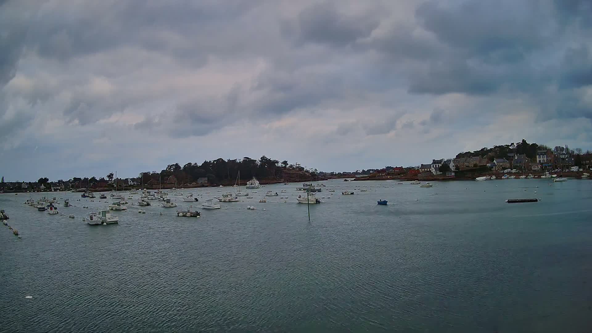 Numerous small boats are moored in a calm harbor under a cloudy sky, with a small town visible in the background.