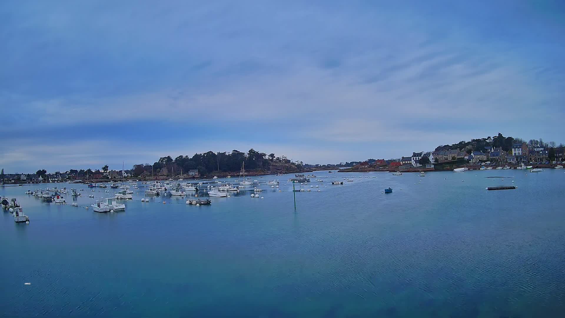 Many small white boats are moored in a calm, blue harbor, with a small village and tree-covered land visible in the background under a mostly clear, light-blue sky.