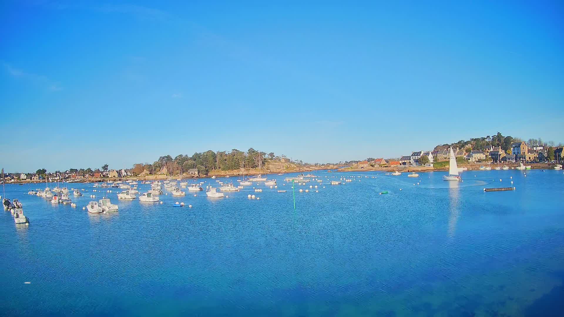 A calm, sunny day shows many small white boats moored in a harbor near a small village with a sailboat in the middle of the bay.