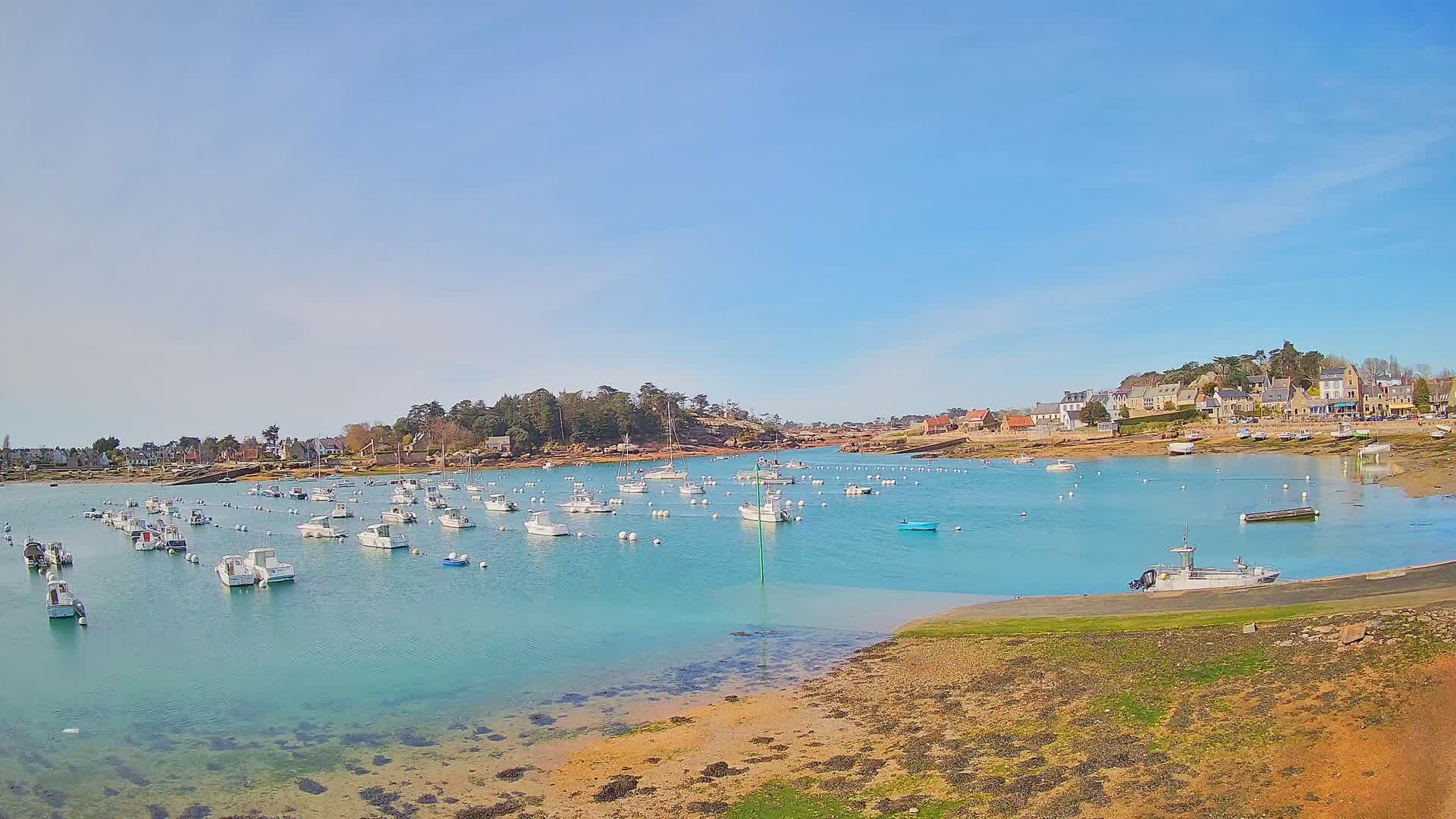 A calm, sunny day reveals a harbor filled with numerous small white boats, nestled beside a shoreline village with houses and trees under a clear blue sky.