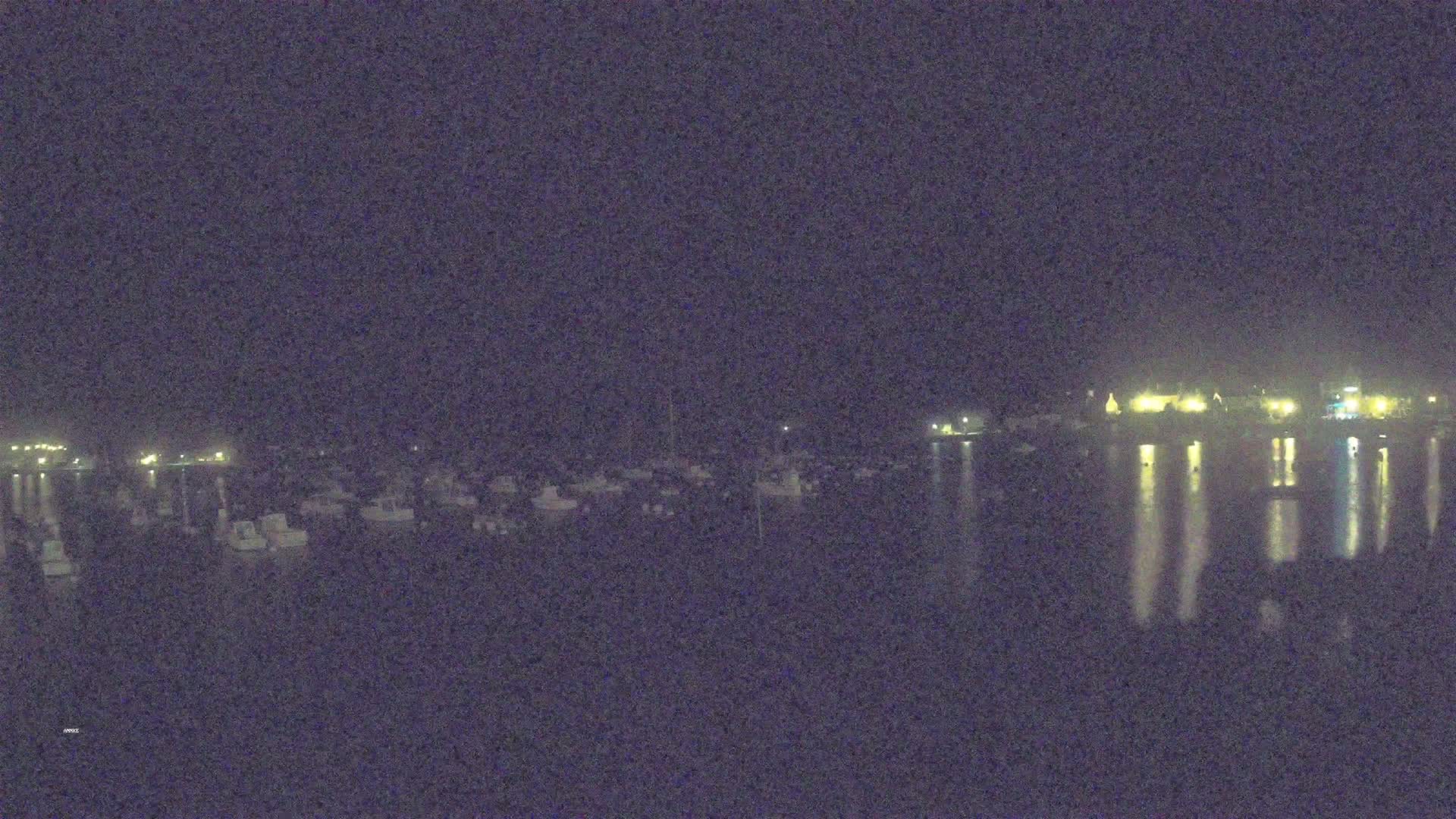 A nighttime view of a calm body of water with numerous boats moored, and lights illuminating a shoreline in the background.