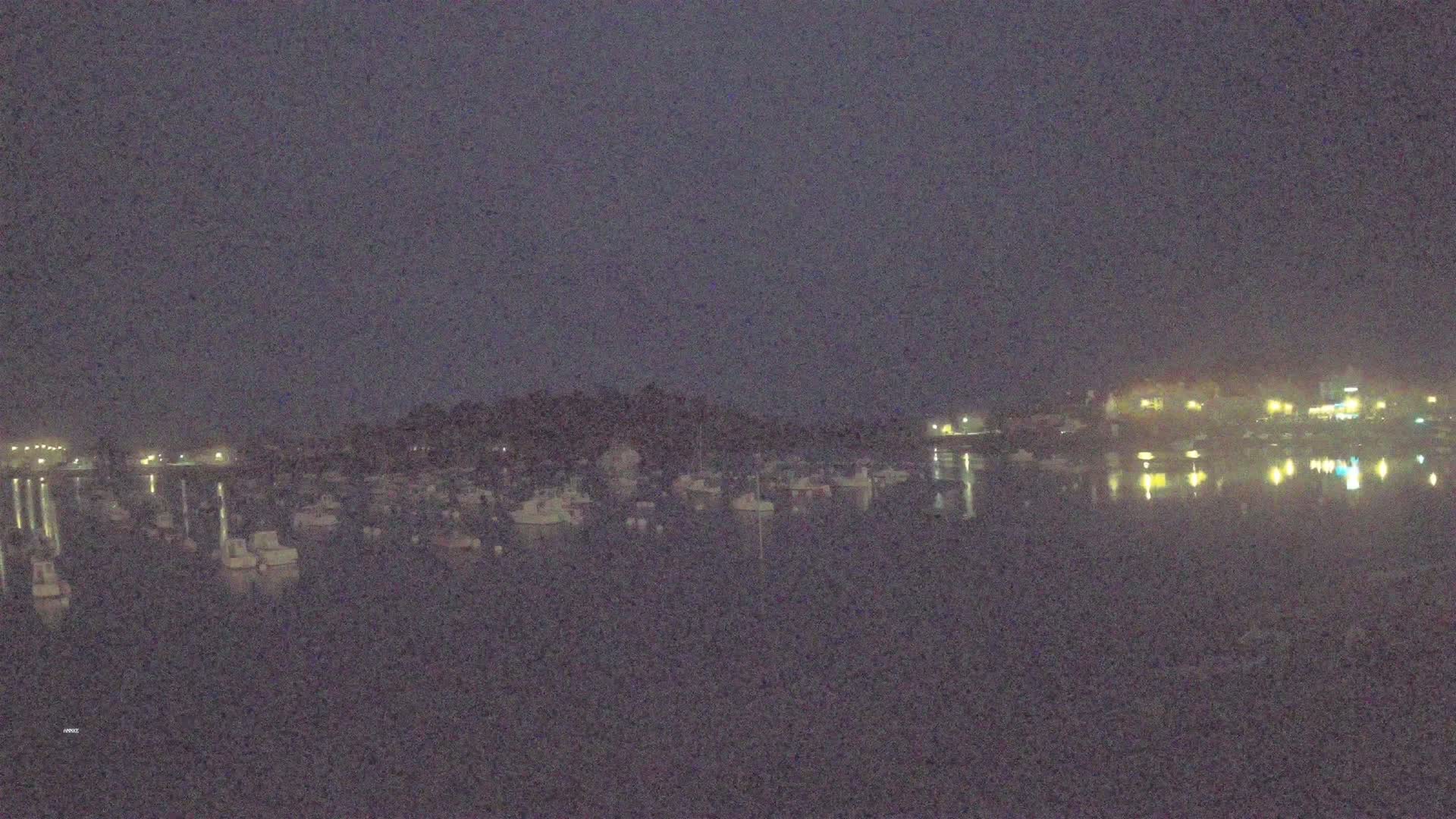 Many boats are moored in a calm, dark body of water at night, with a dimly lit shoreline in the background.