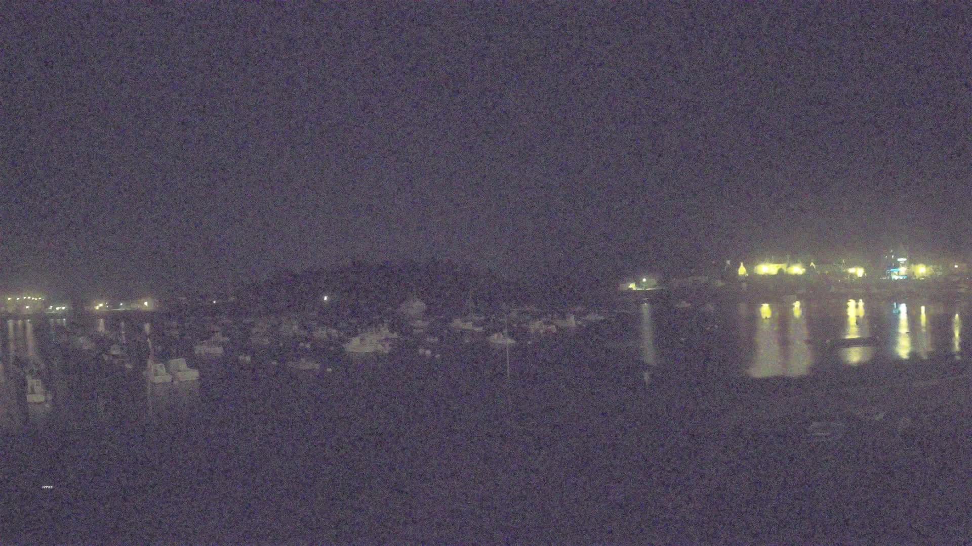 A nighttime view of a harbor filled with boats under a dark sky.