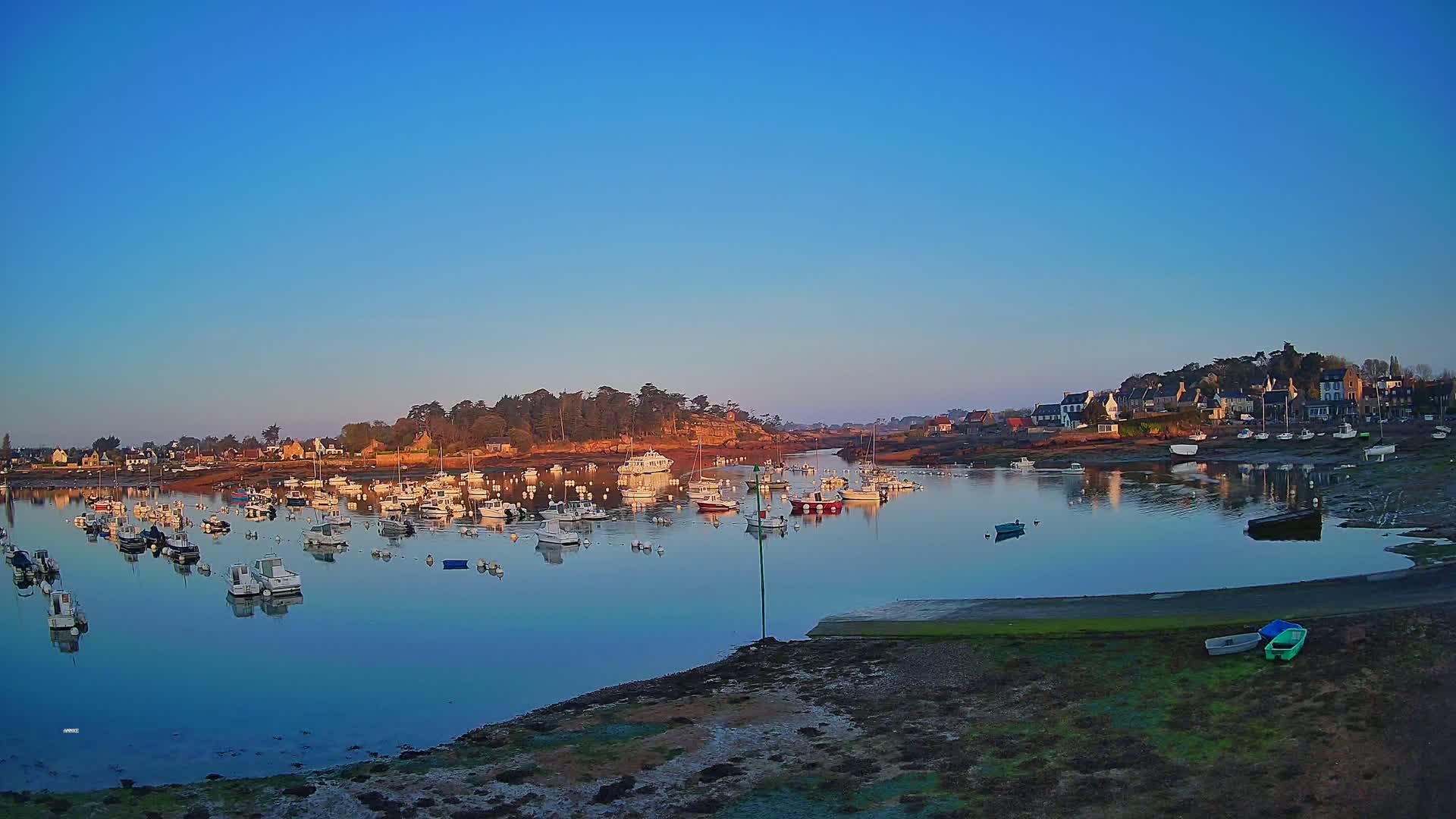 A calm harbor filled with numerous small boats is nestled beside a small town under a clear, blue sky.