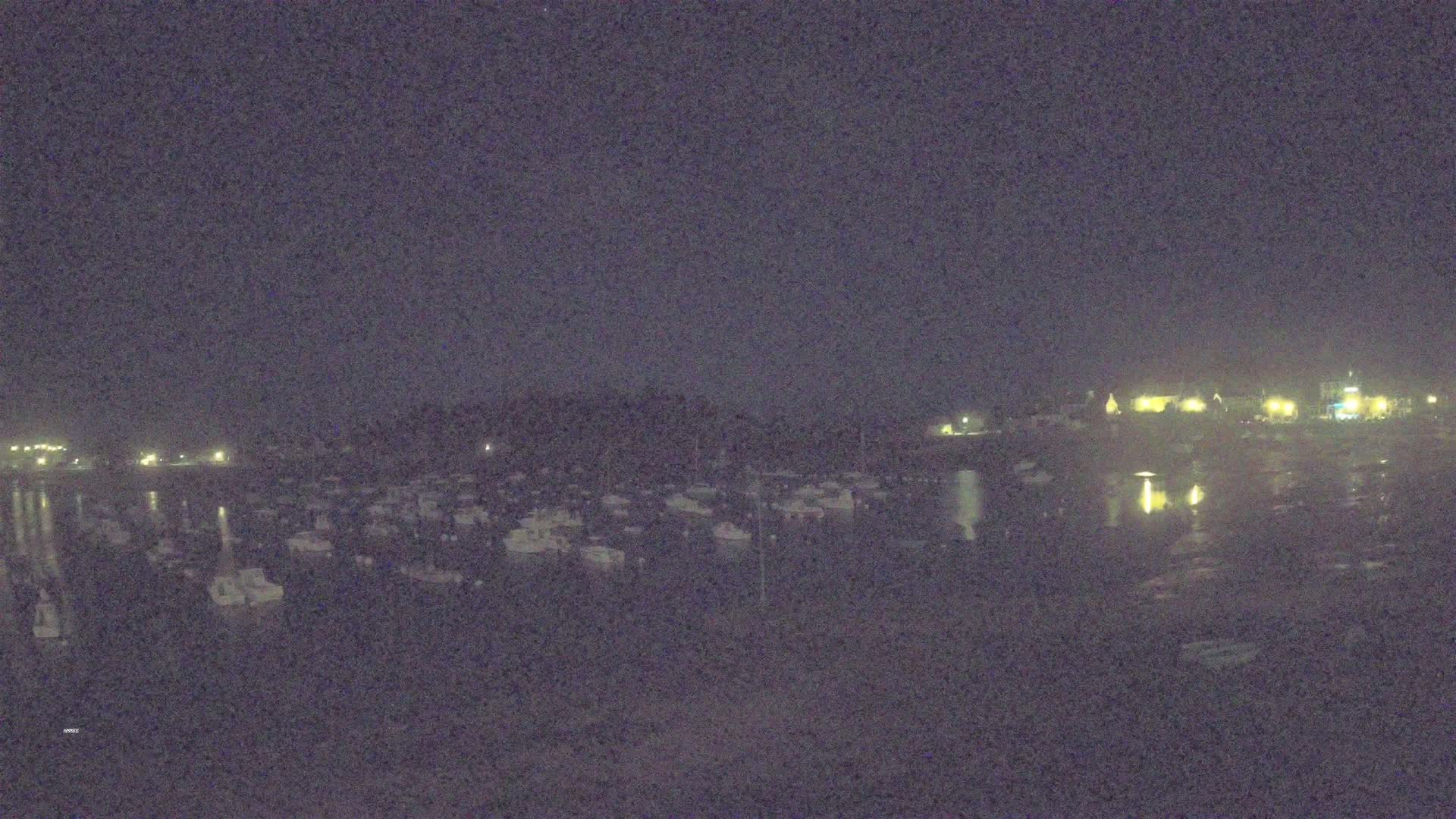 A nighttime view of a harbor filled with numerous boats under a dark sky.
