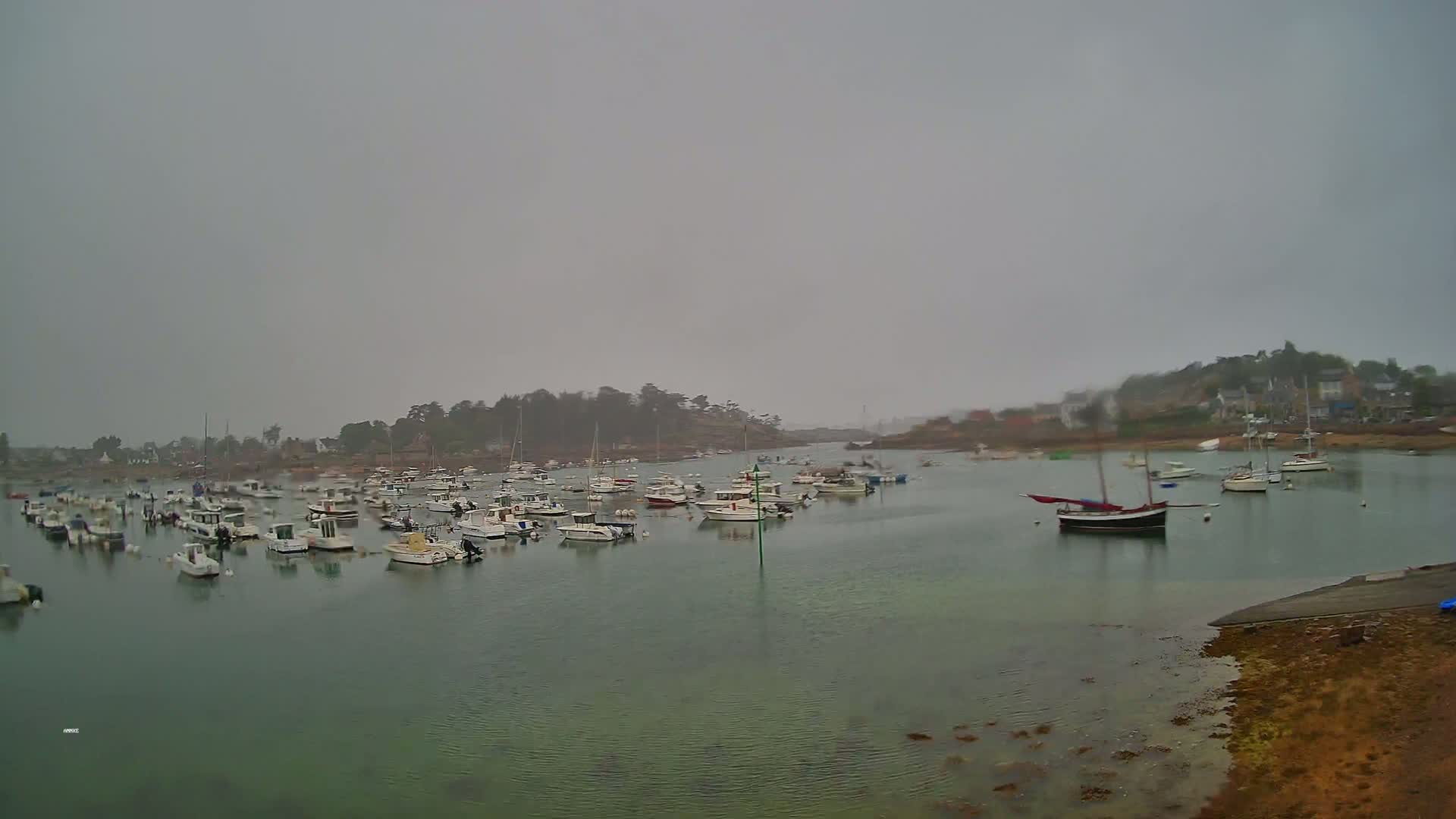 Many small boats are moored in a calm harbor on an overcast day.